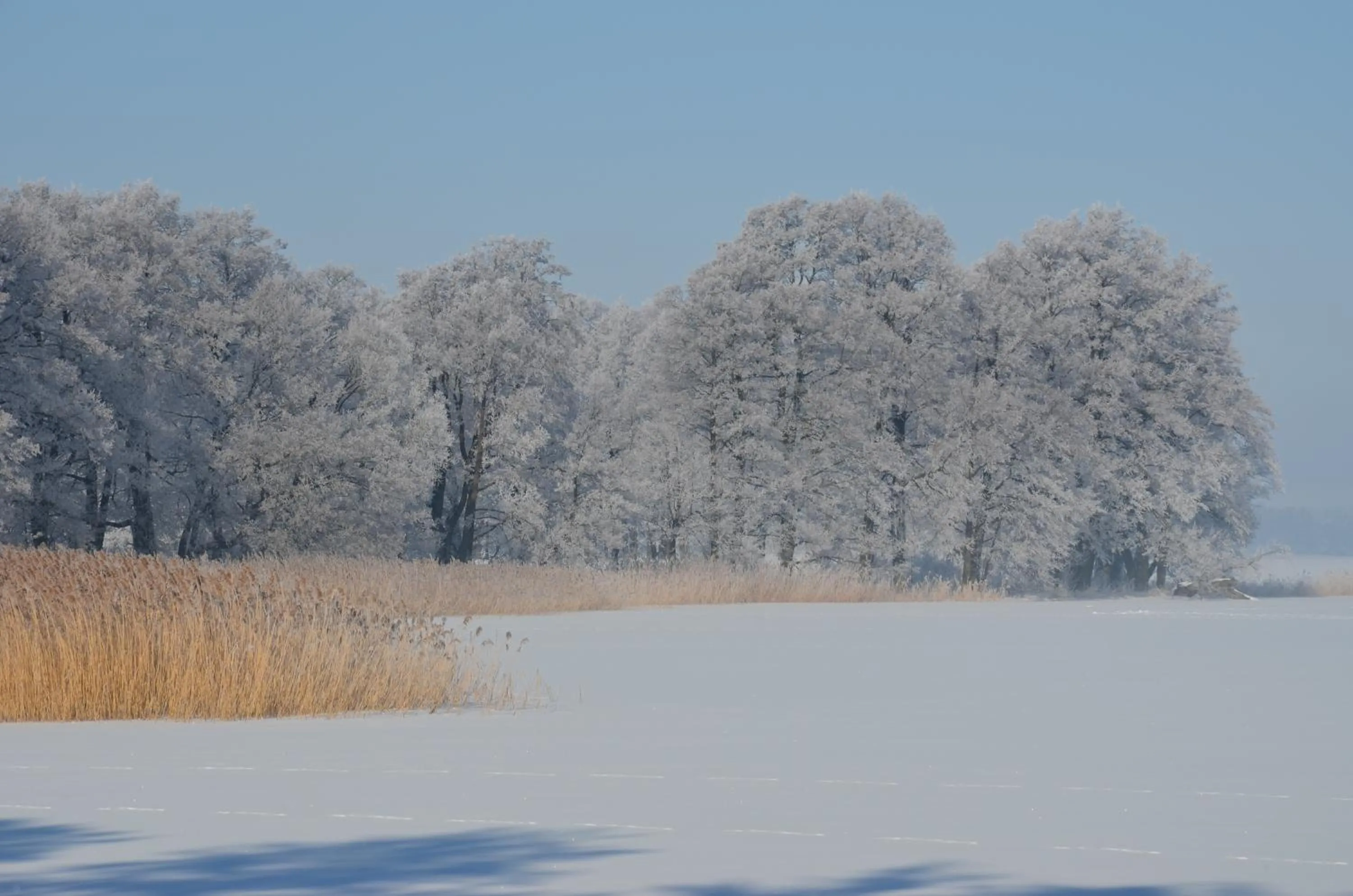 Natural landscape in Stara Szkoła w Harszu