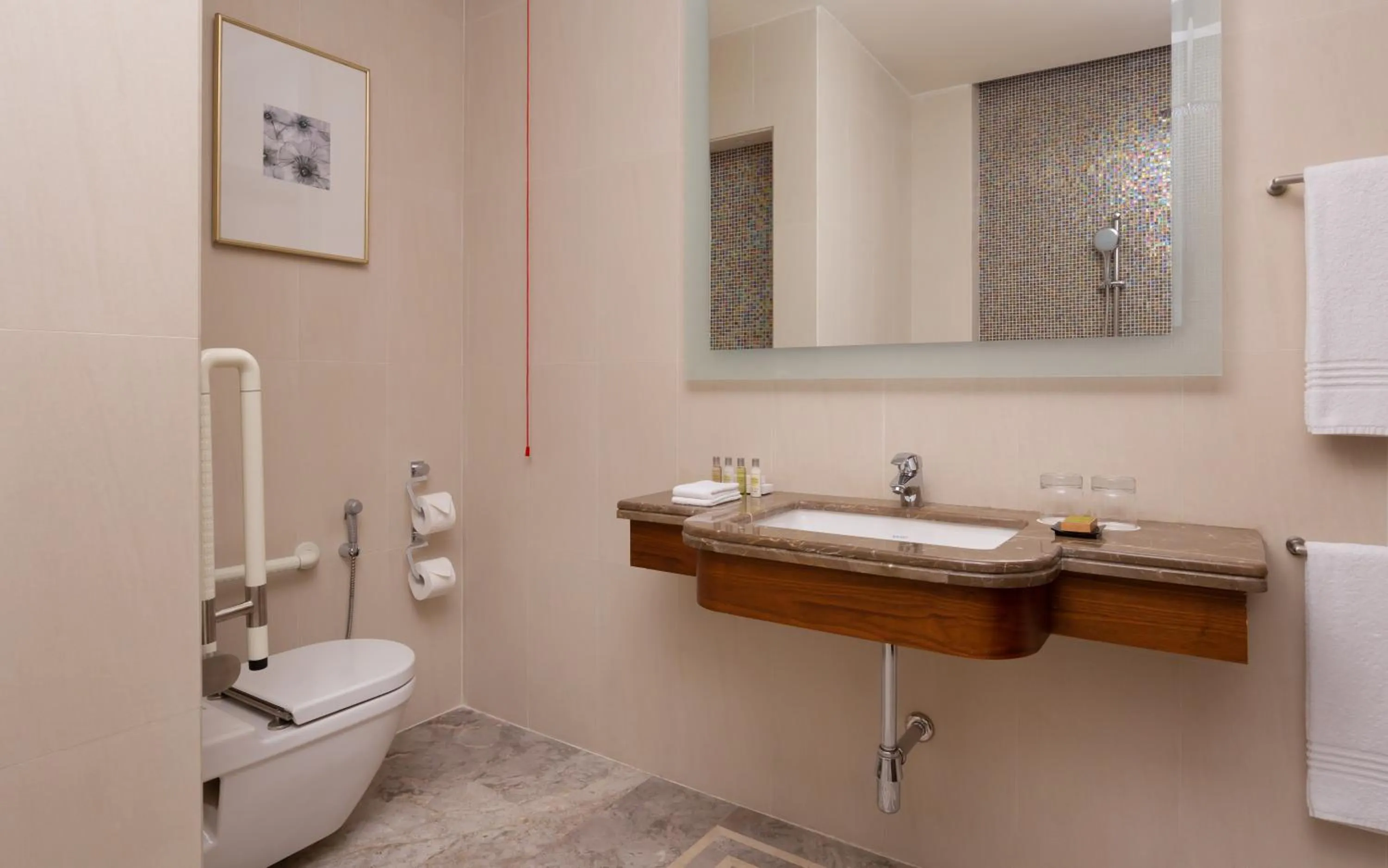 Toilet in Hilton Dushanbe