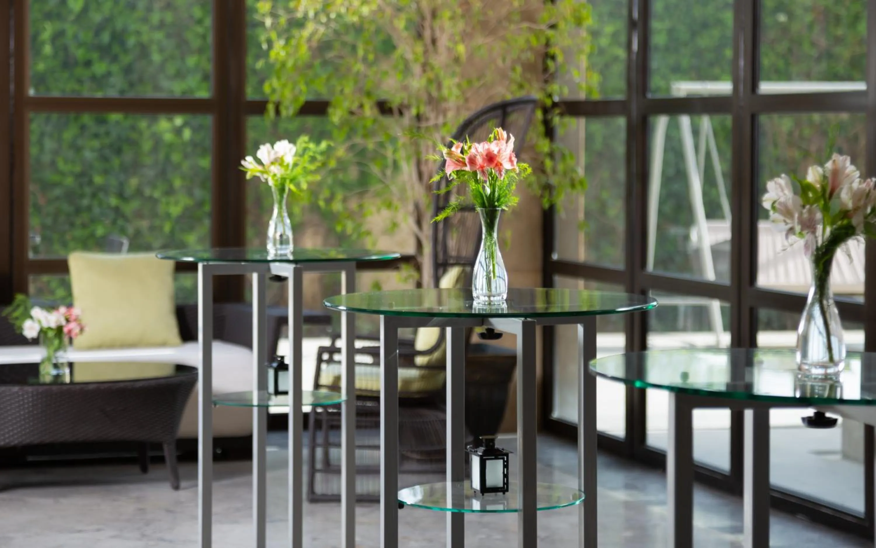 Garden in Hilton Dushanbe