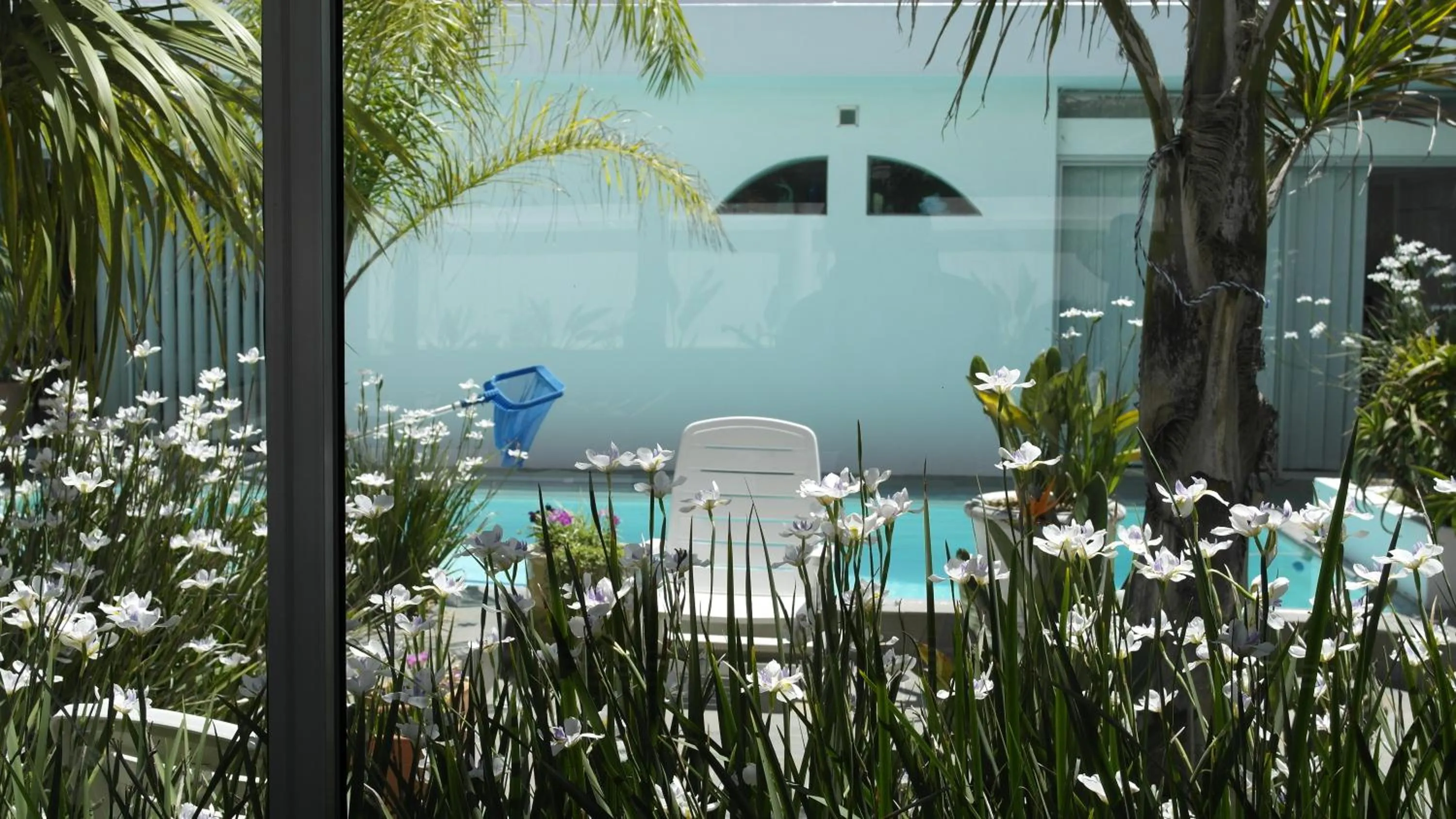 Garden in Admiralty Bed & Breakfast