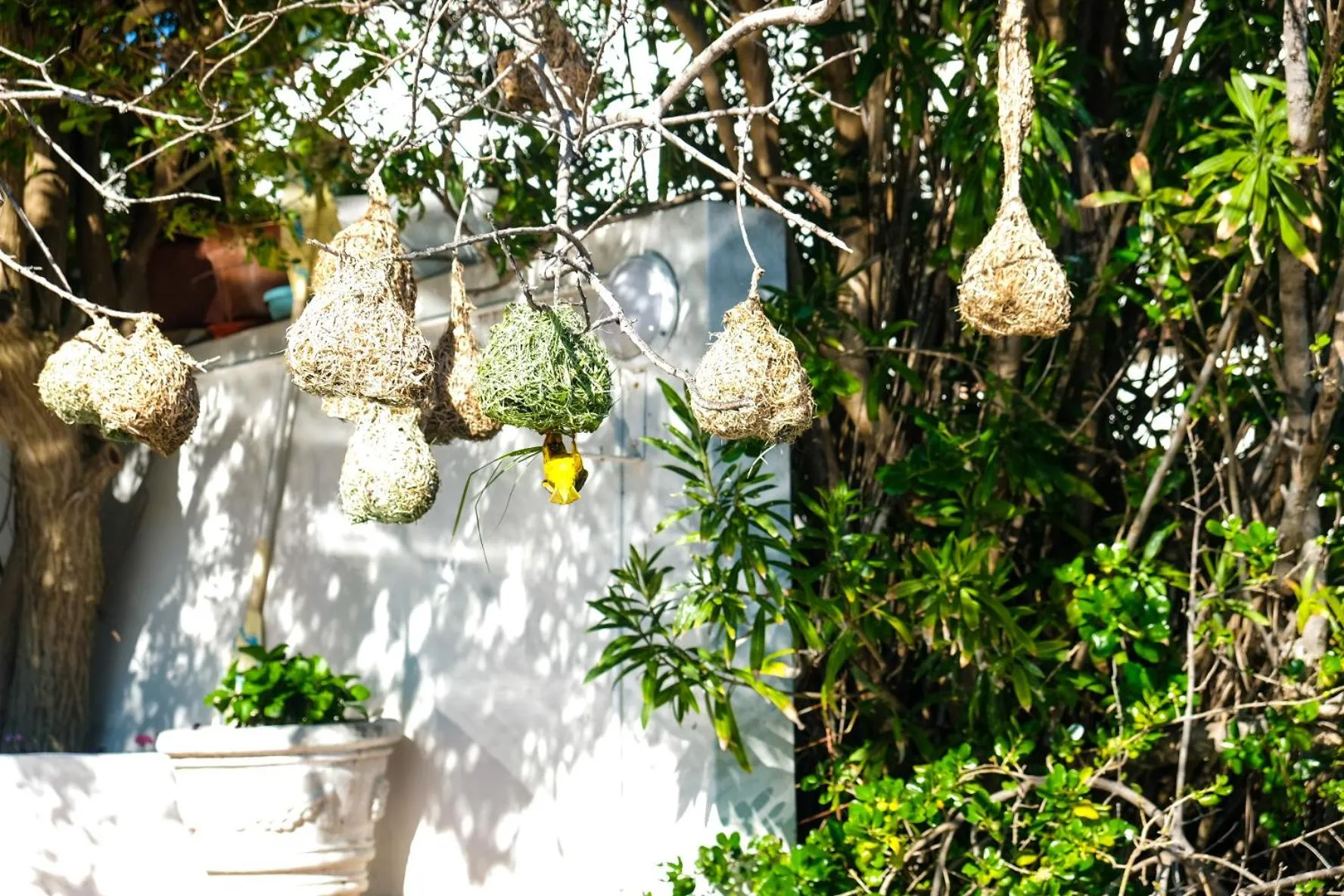 Admiralty Bed & Breakfast