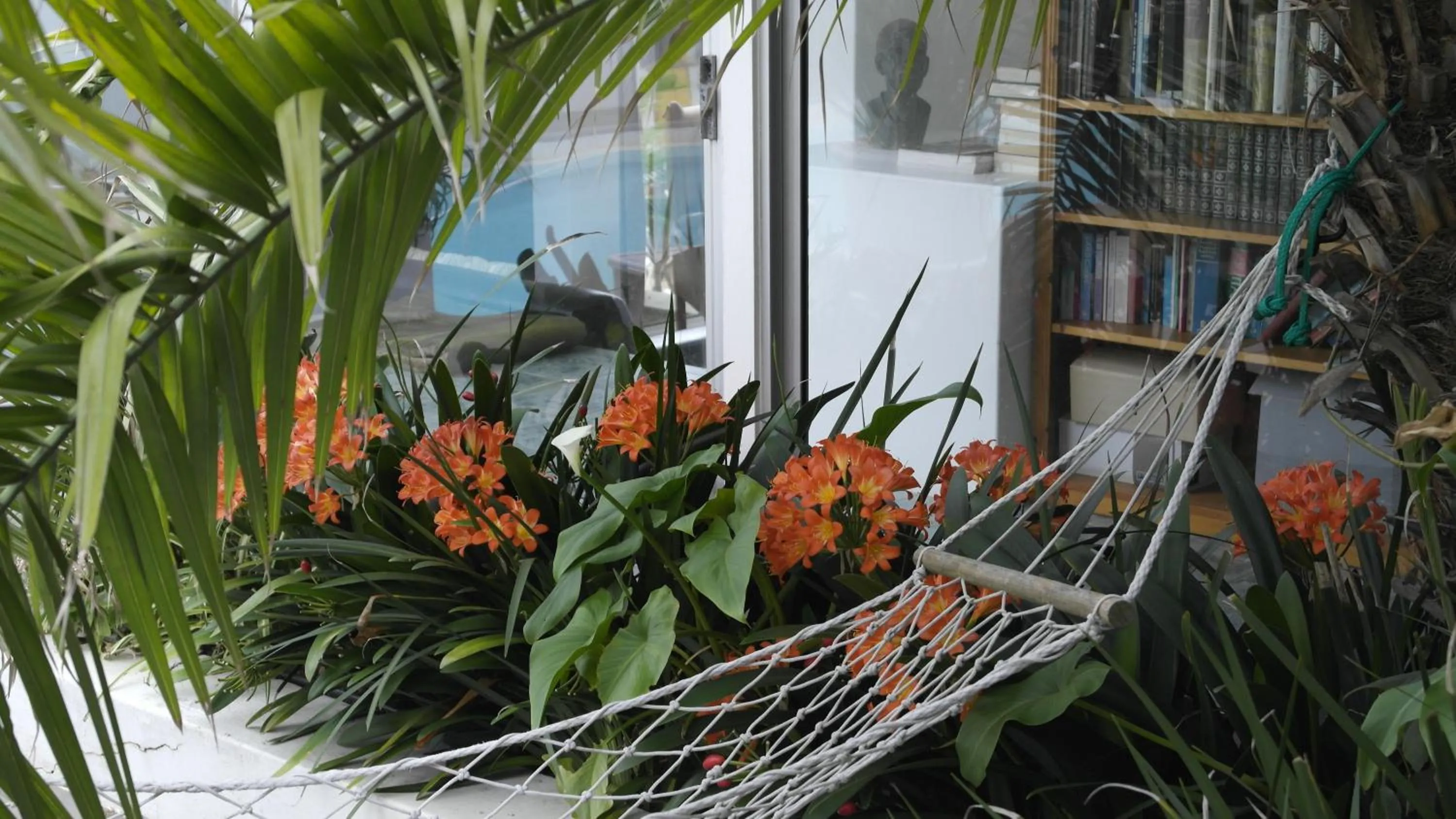 Day in Admiralty Bed & Breakfast