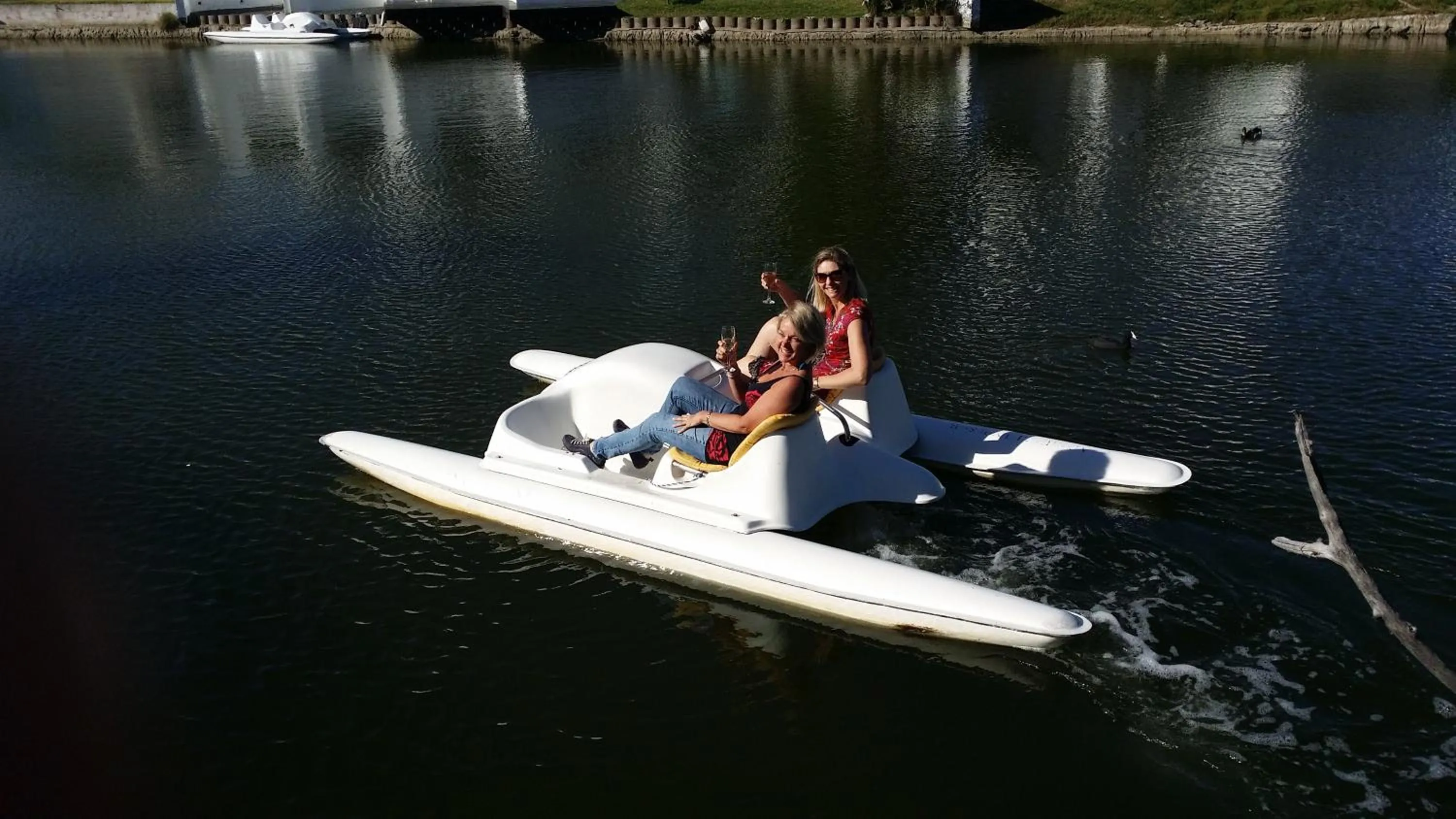 Activities in Admiralty Bed & Breakfast