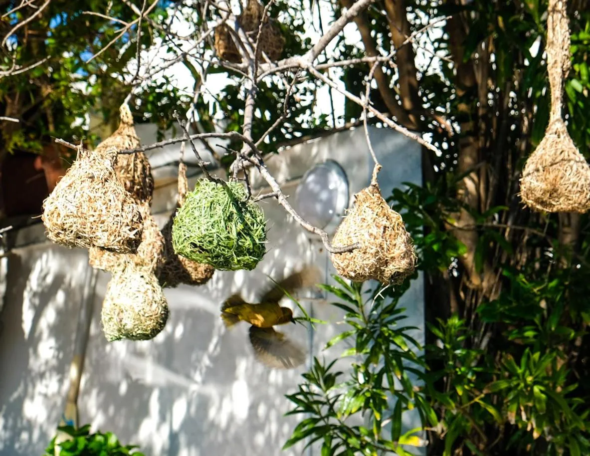 Admiralty Bed & Breakfast