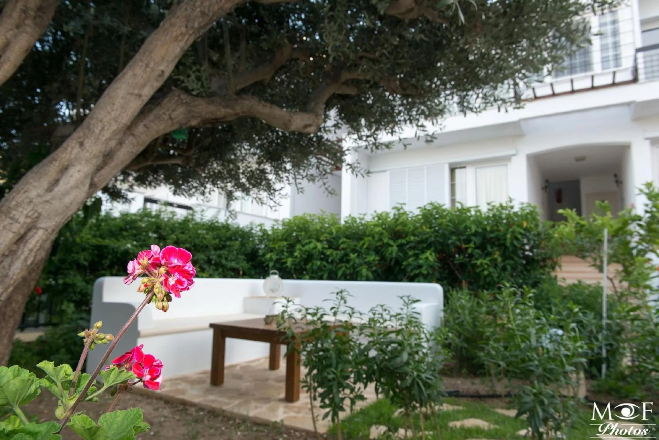 Garden in Hotel Elena
