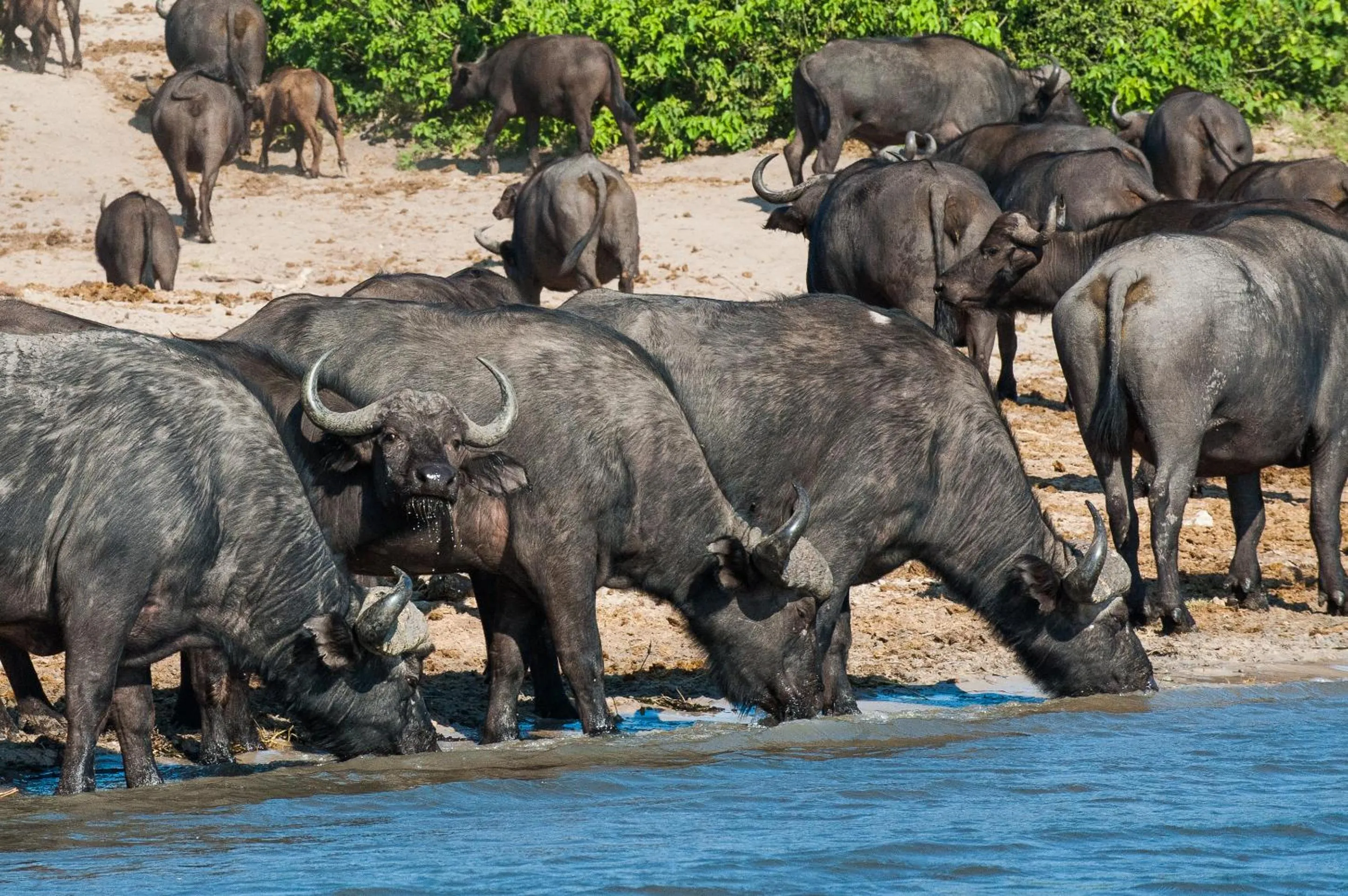 Other in Maninghi Lodge
