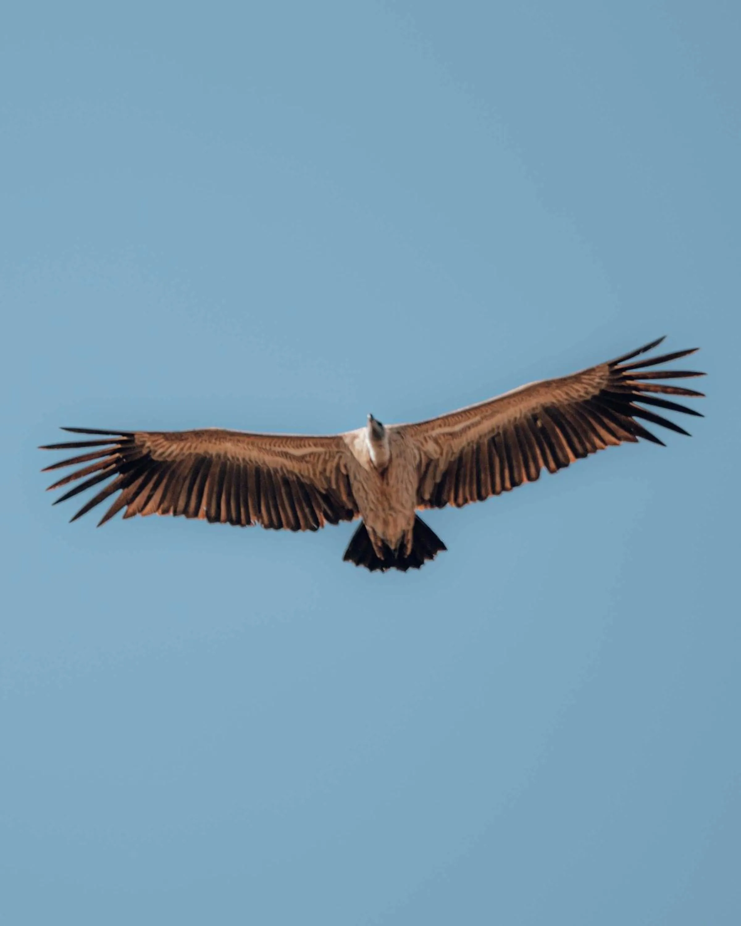 View (from property/room) in Maninghi Lodge