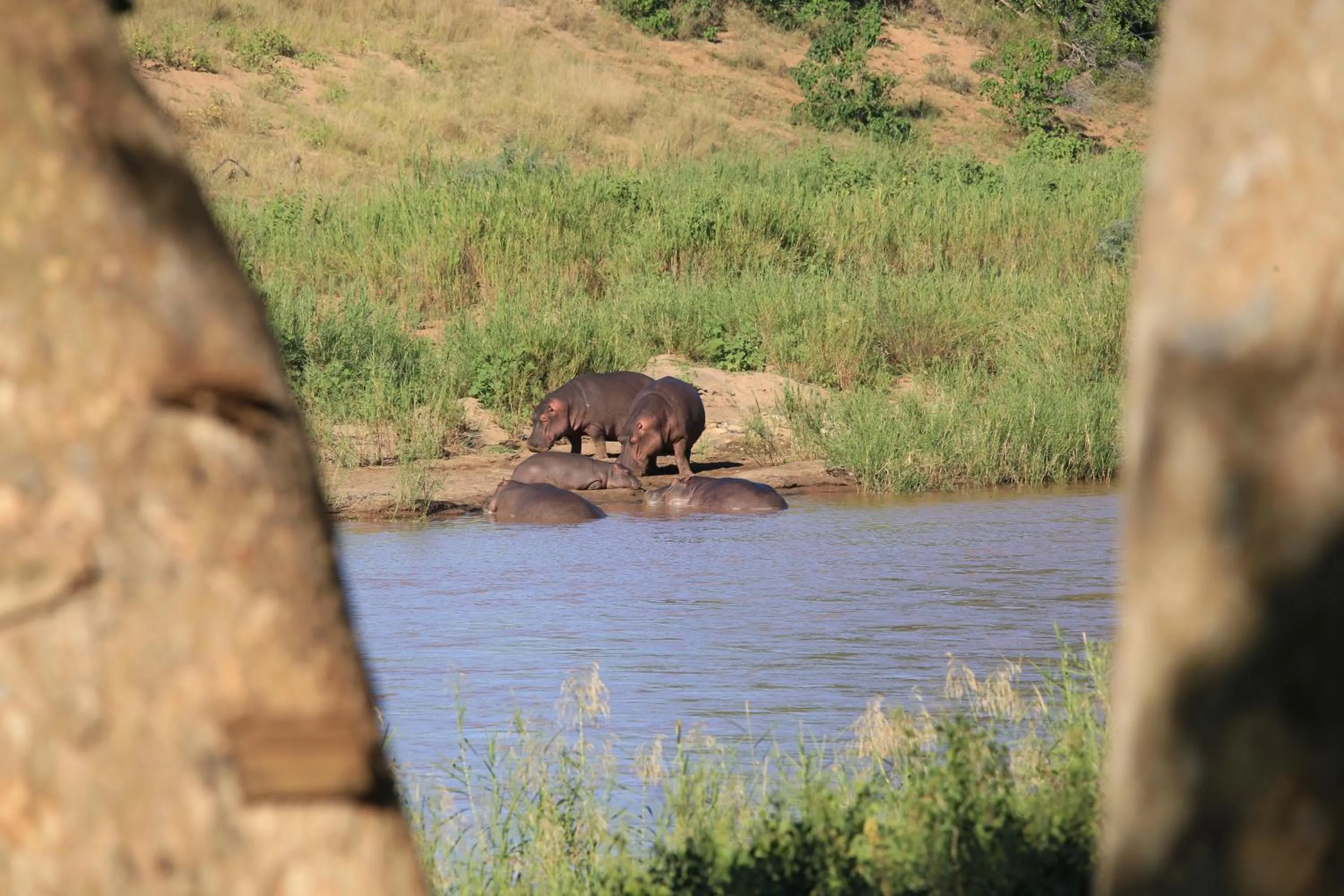 Garden in Maninghi Lodge