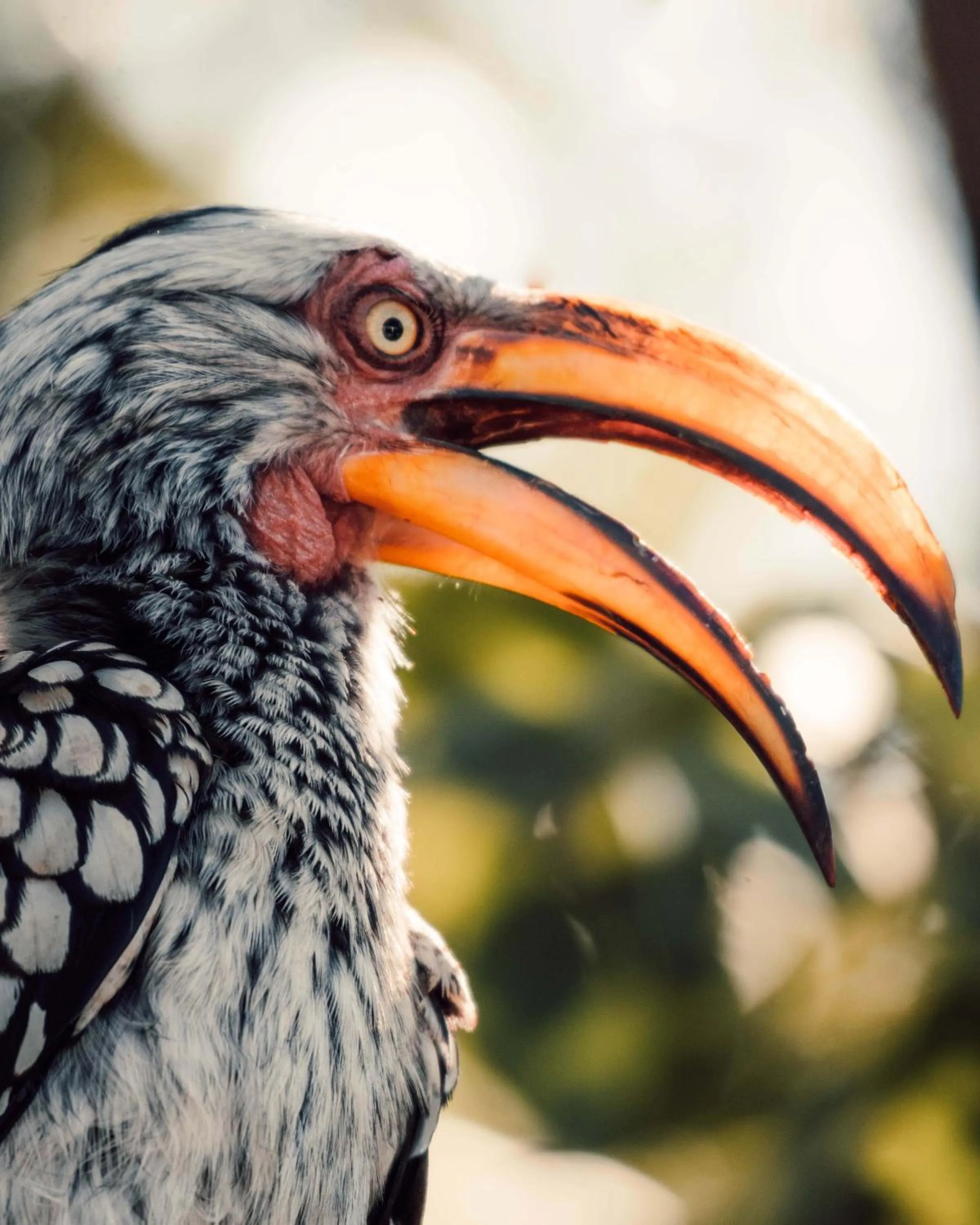 View (from property/room) in Maninghi Lodge