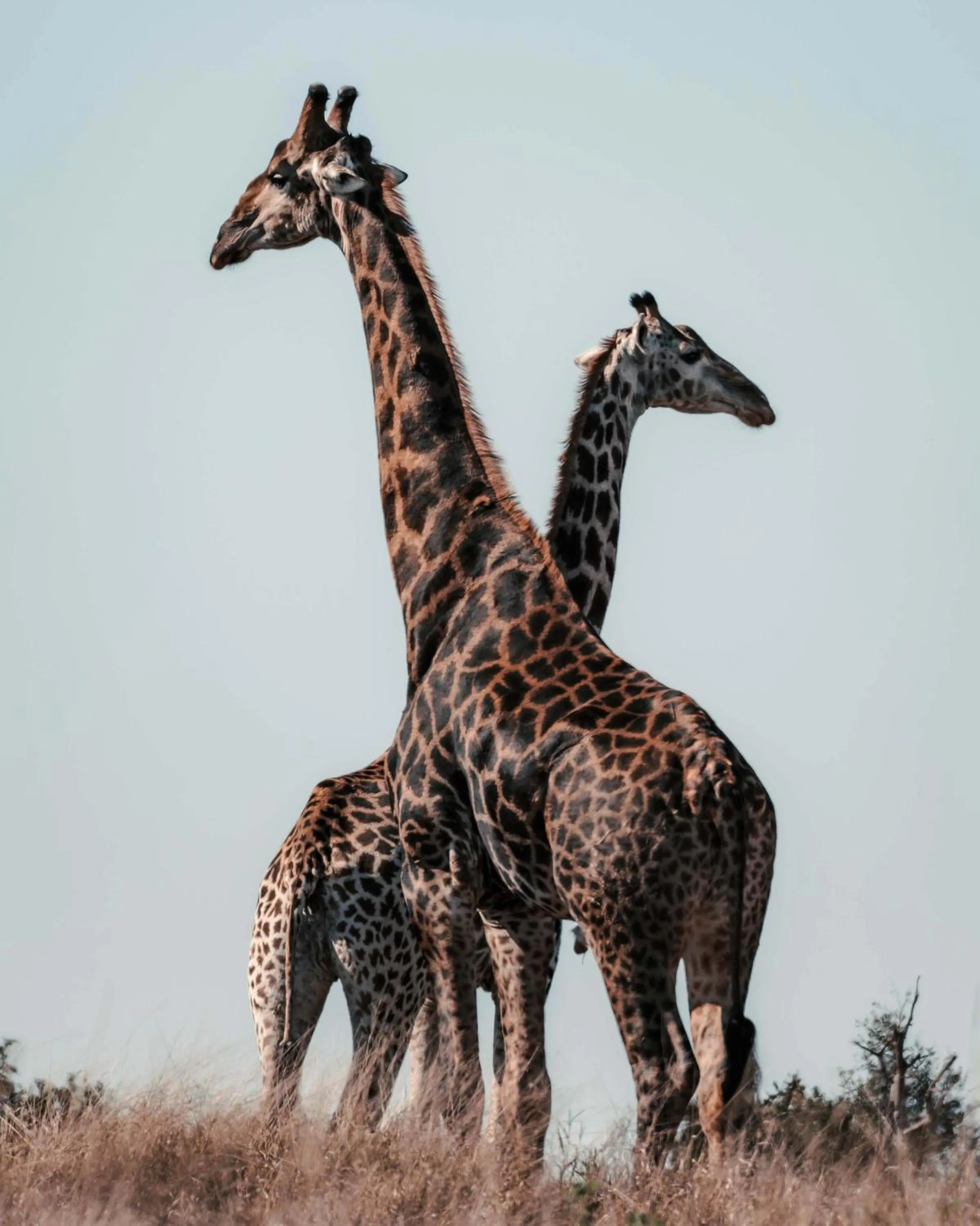 View (from property/room) in Maninghi Lodge