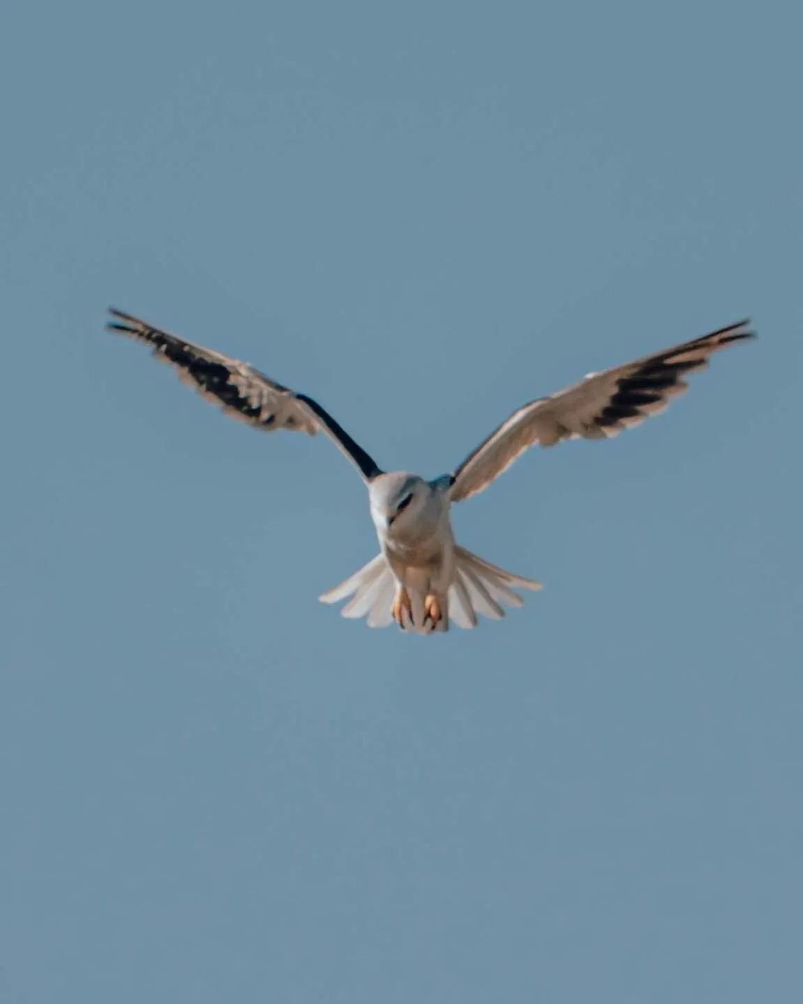 View (from property/room) in Maninghi Lodge