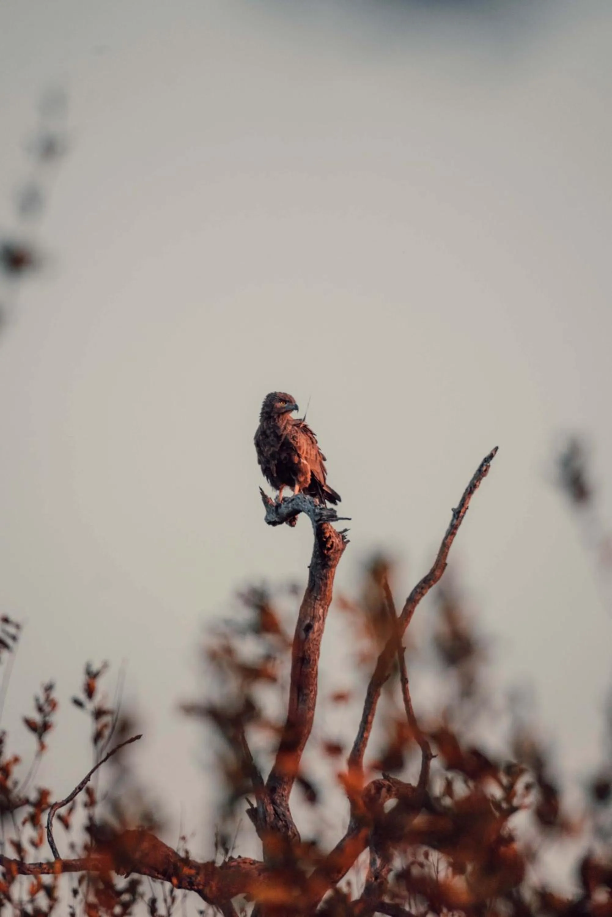 View (from property/room) in Maninghi Lodge