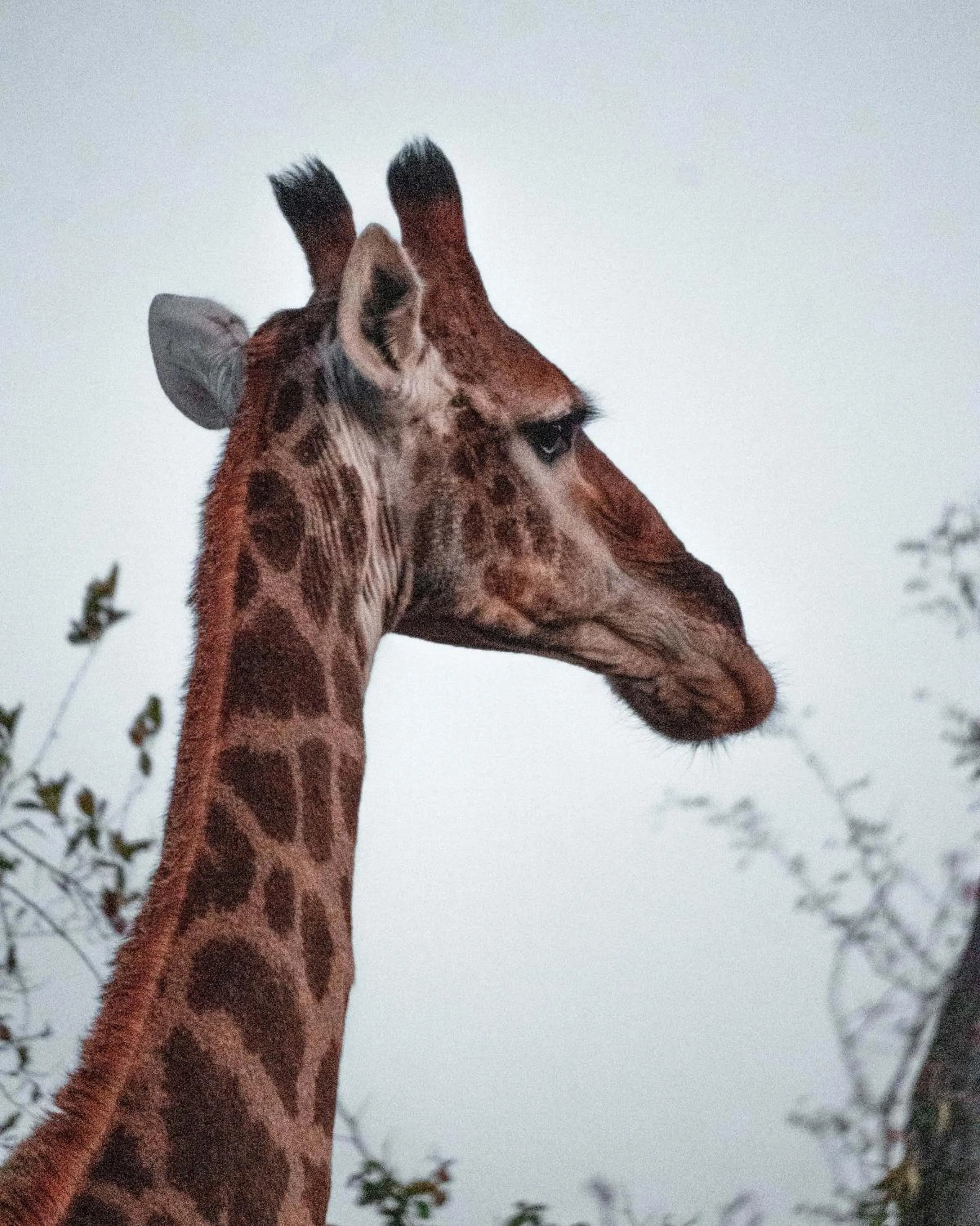 View (from property/room) in Maninghi Lodge