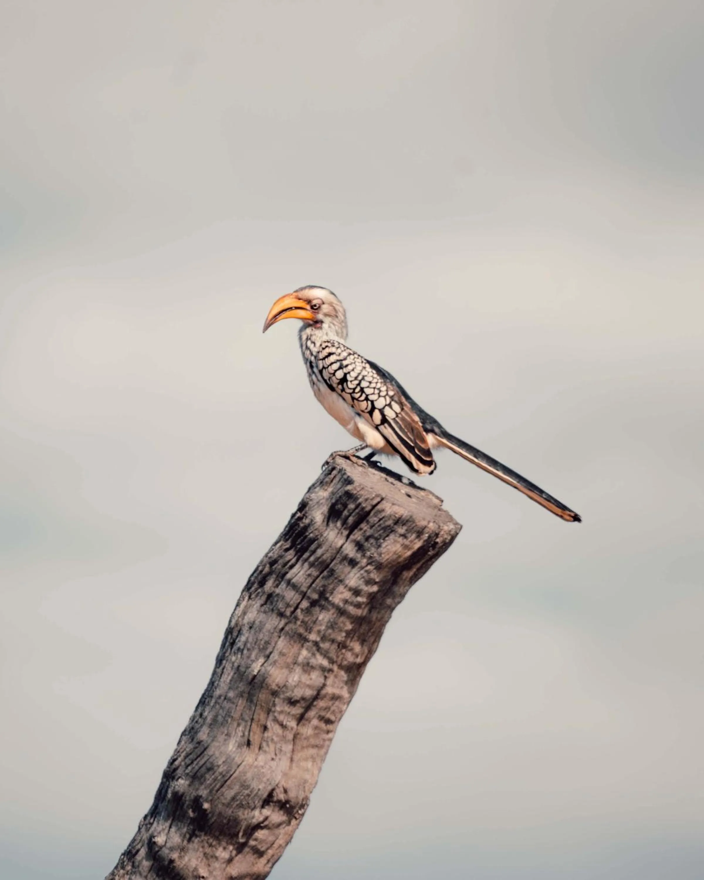 View (from property/room) in Maninghi Lodge