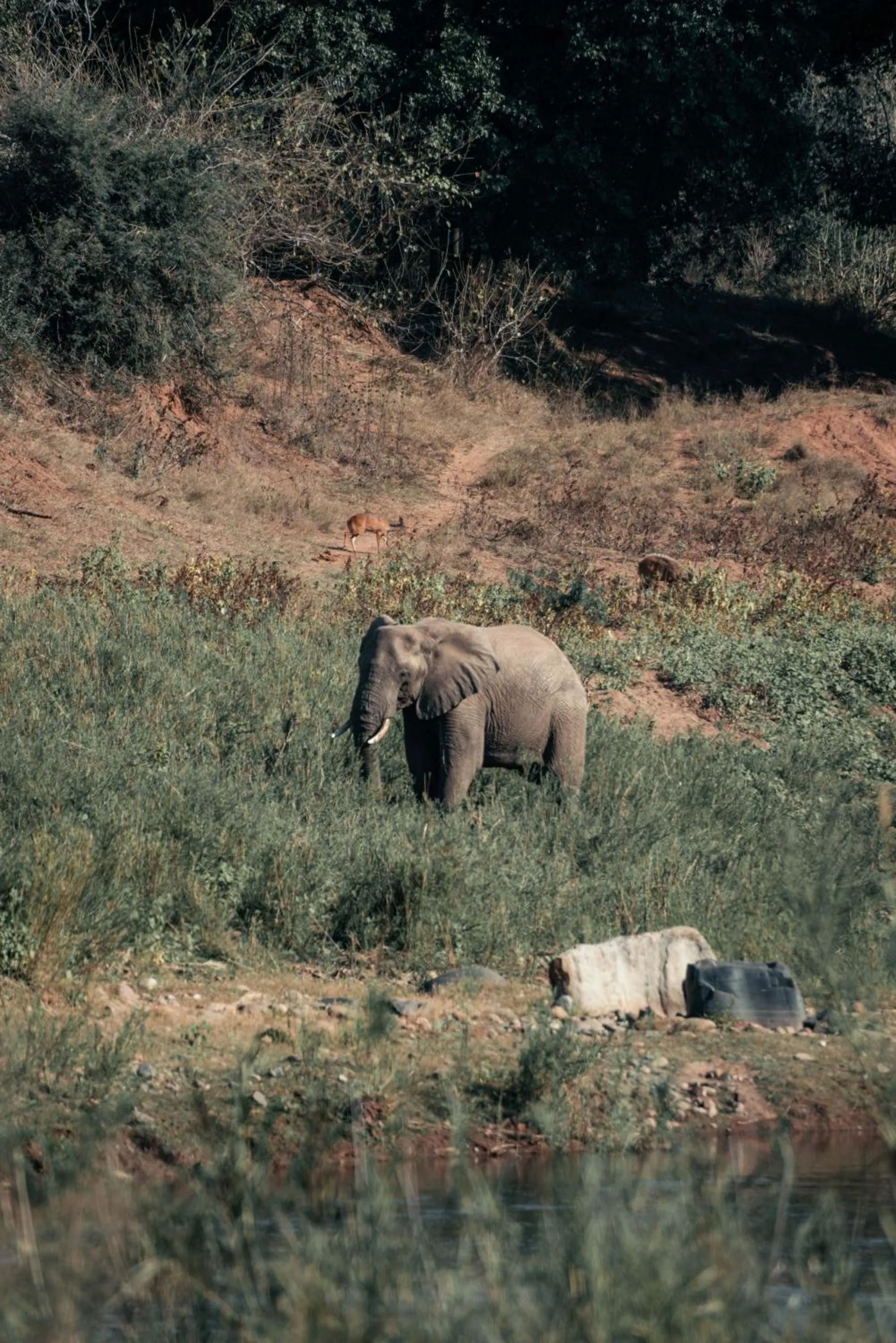 View (from property/room) in Maninghi Lodge