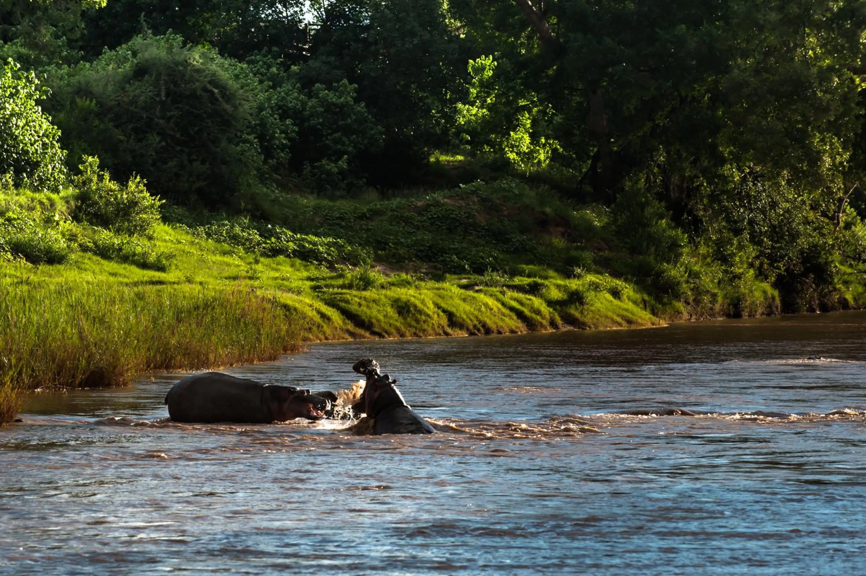 Natural landscape in Maninghi Lodge