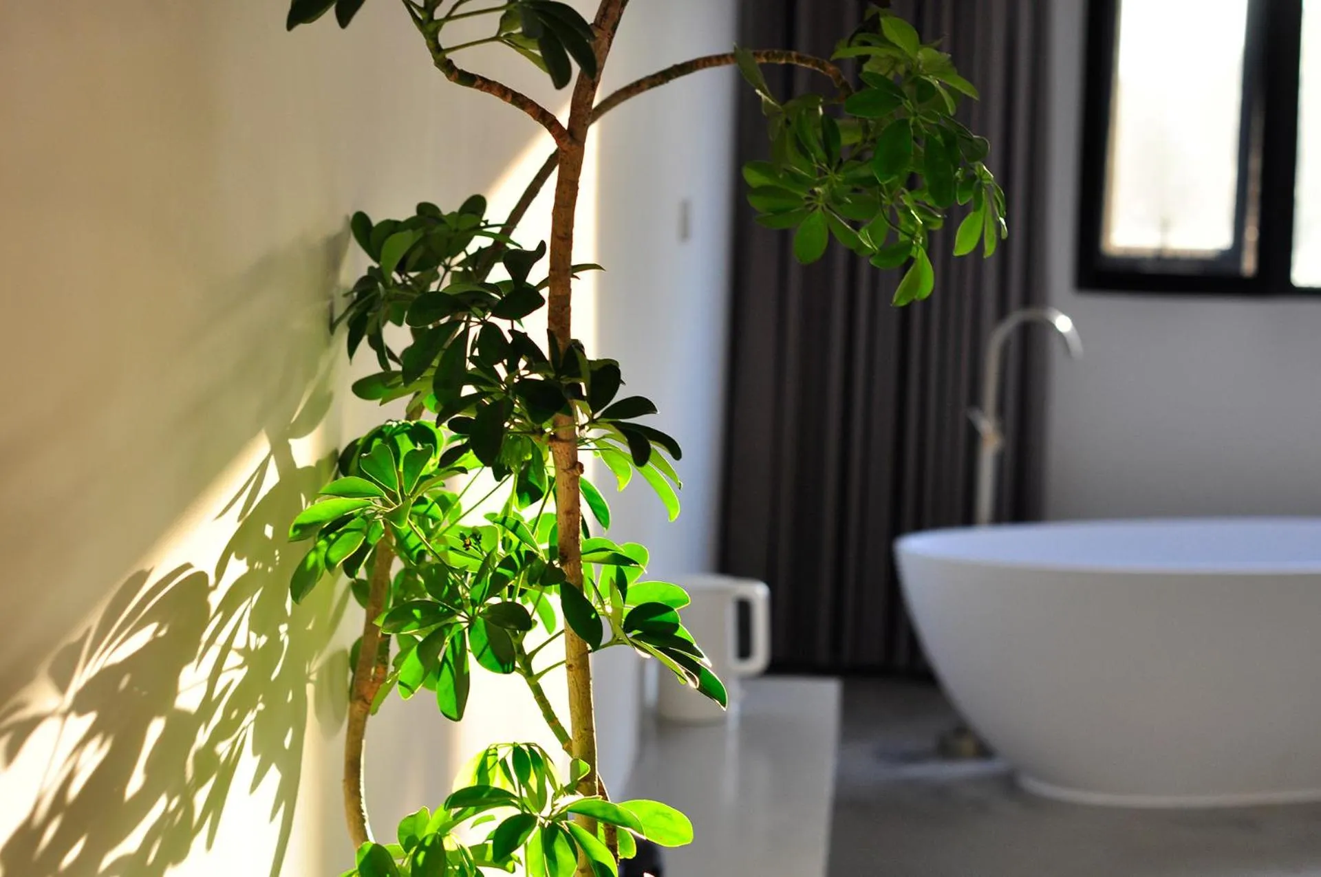 Decorative detail in Xingle Hotel-Suzhou Guanqian Street Pingjiang Road