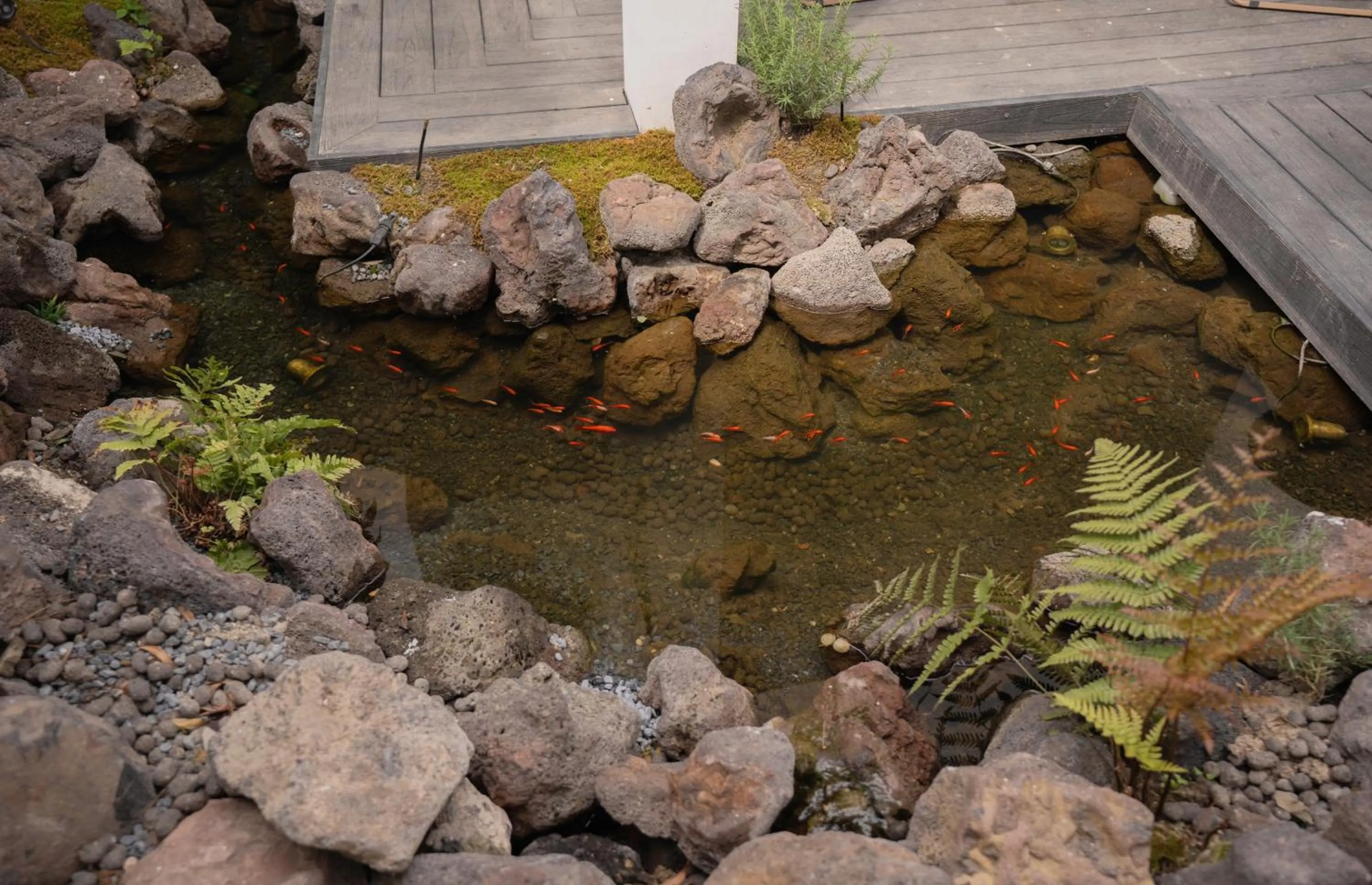 Garden in Xingle Hotel-Suzhou Guanqian Street Pingjiang Road