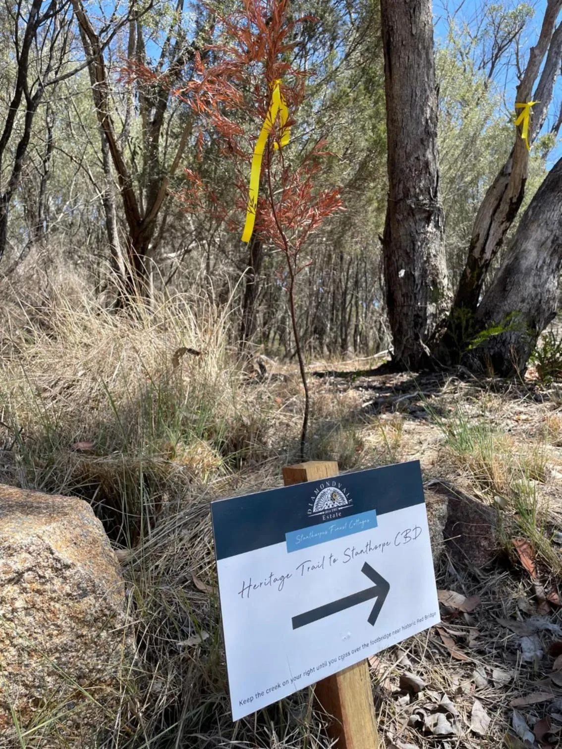 Garden in Diamondvale Estate Stanthorpe