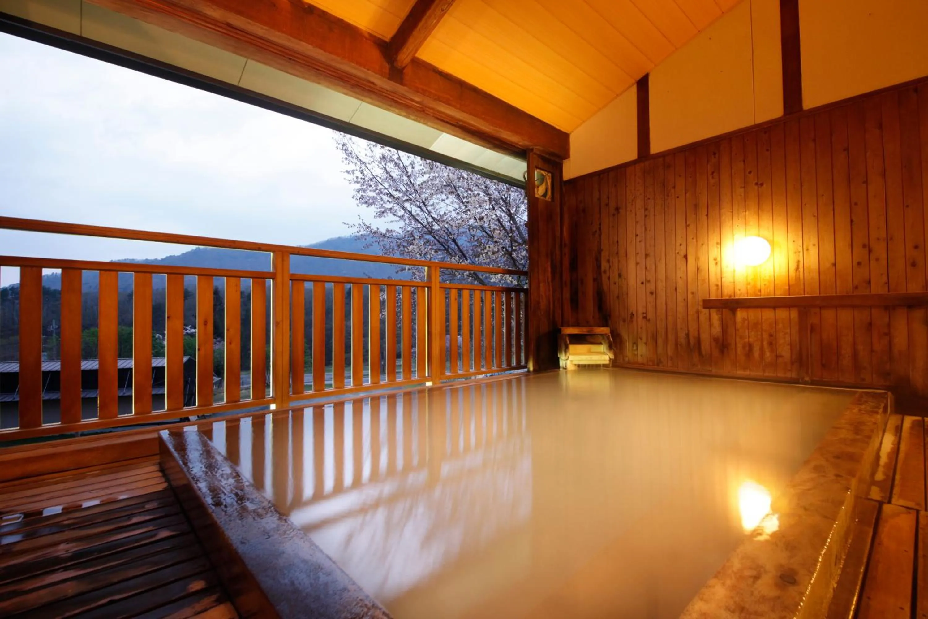 Hot Spring Bath in Matsukaneya Annex