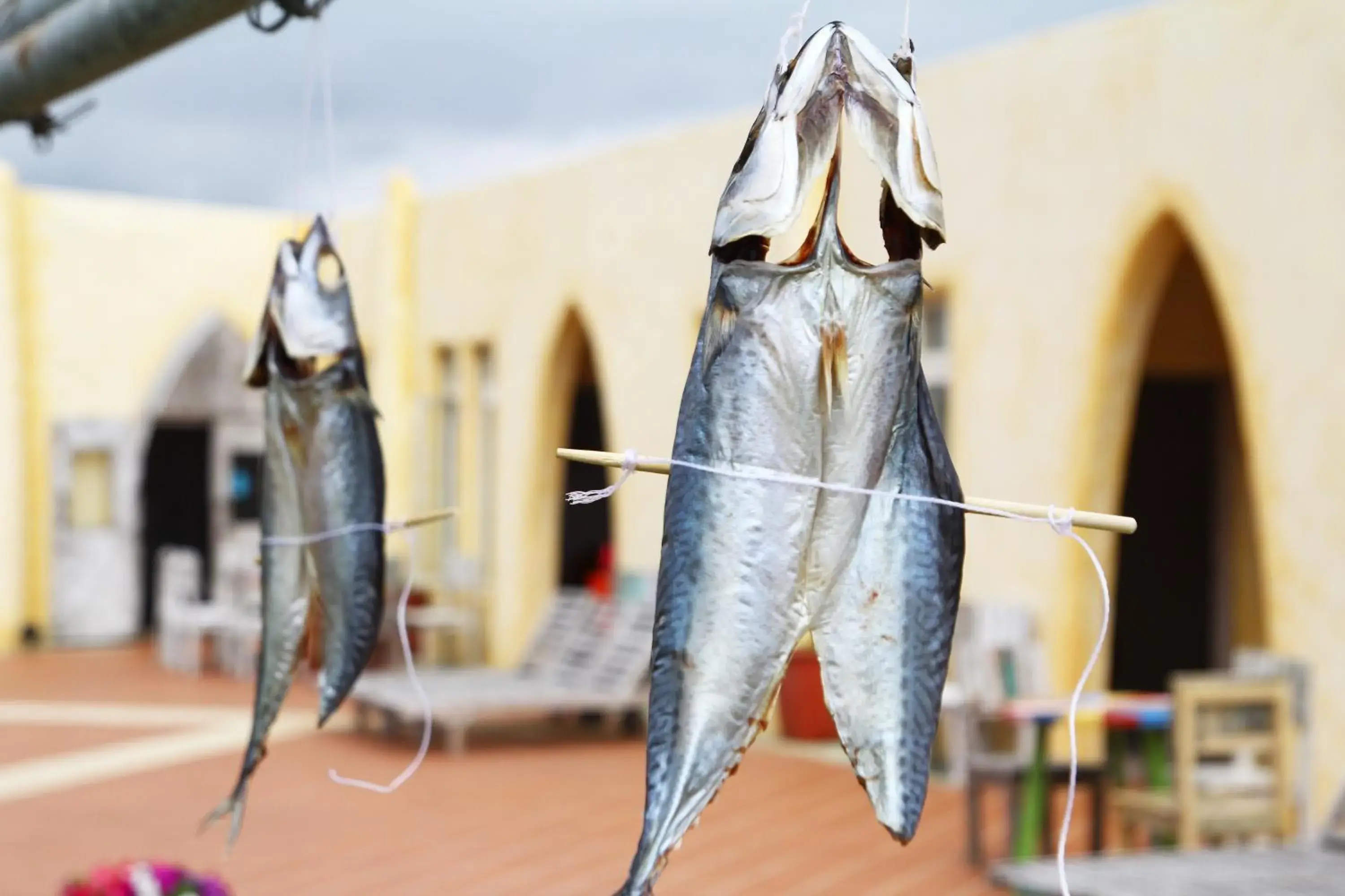 Property building in West Old House Property building in West Old House