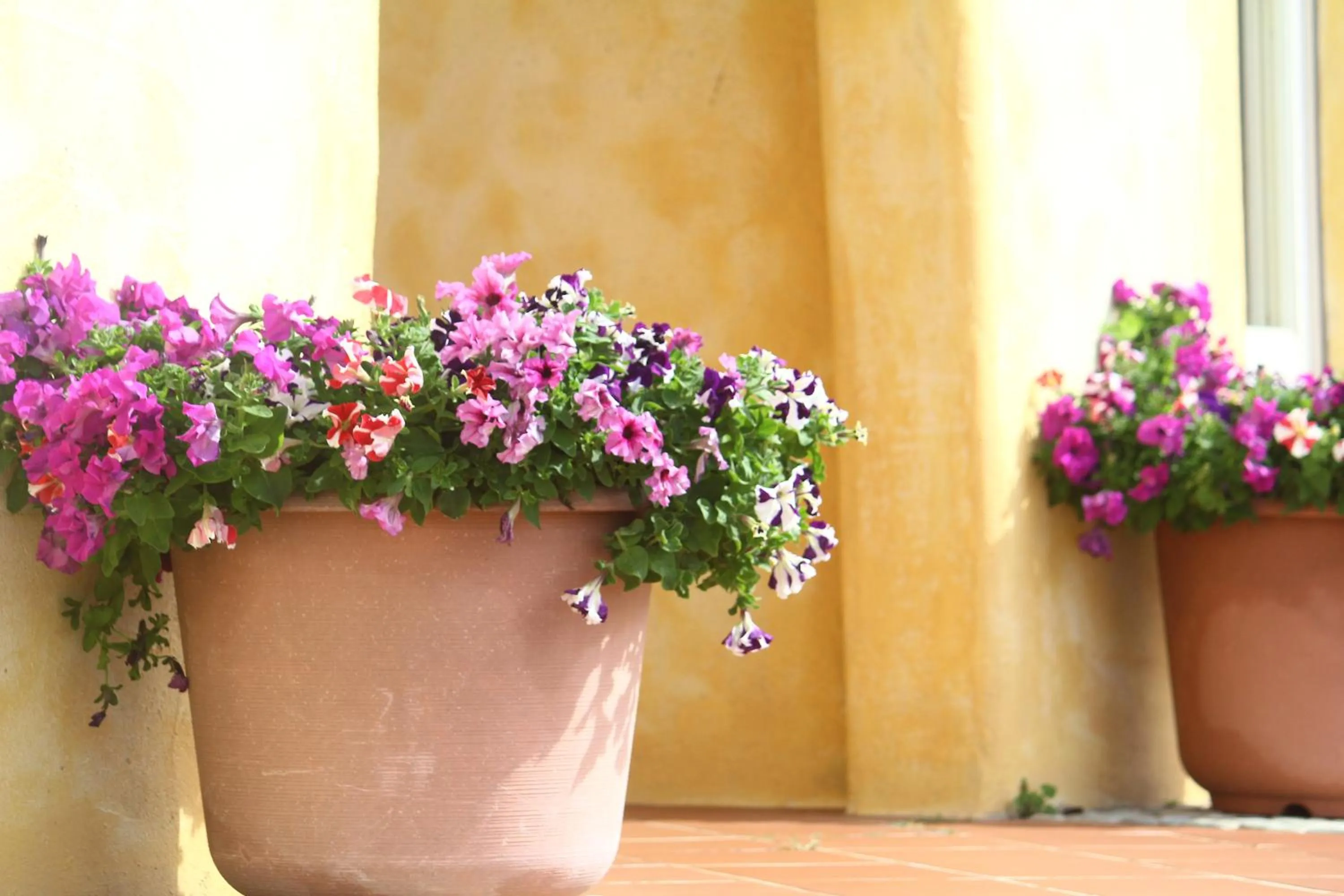 Property building in West Old House