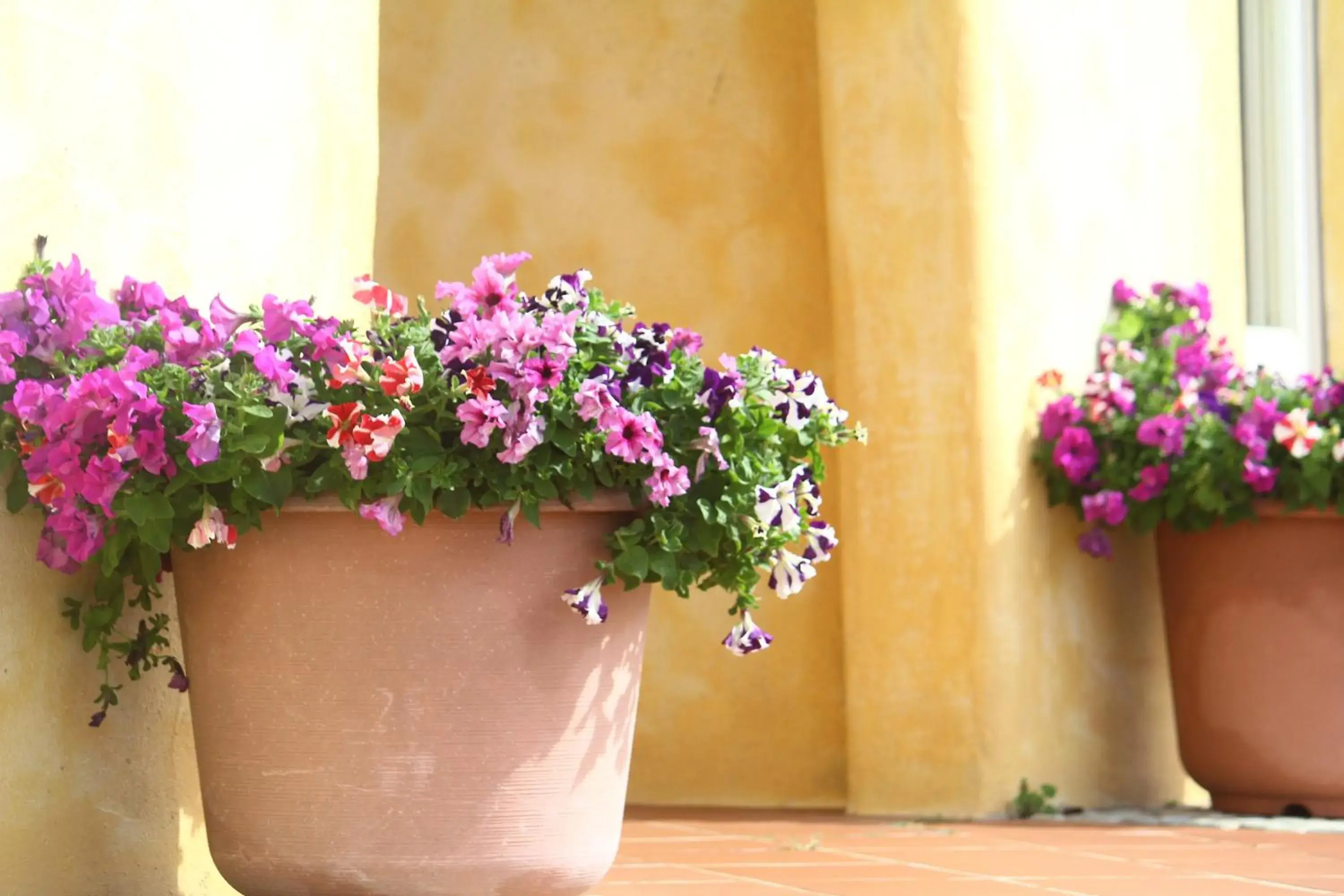 Property building in West Old House Property building in West Old House