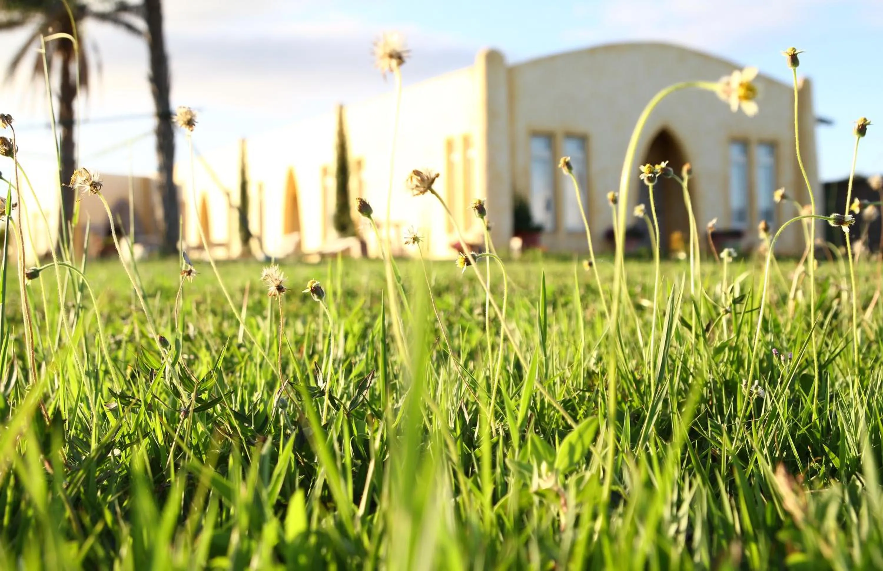 Garden in West Old House