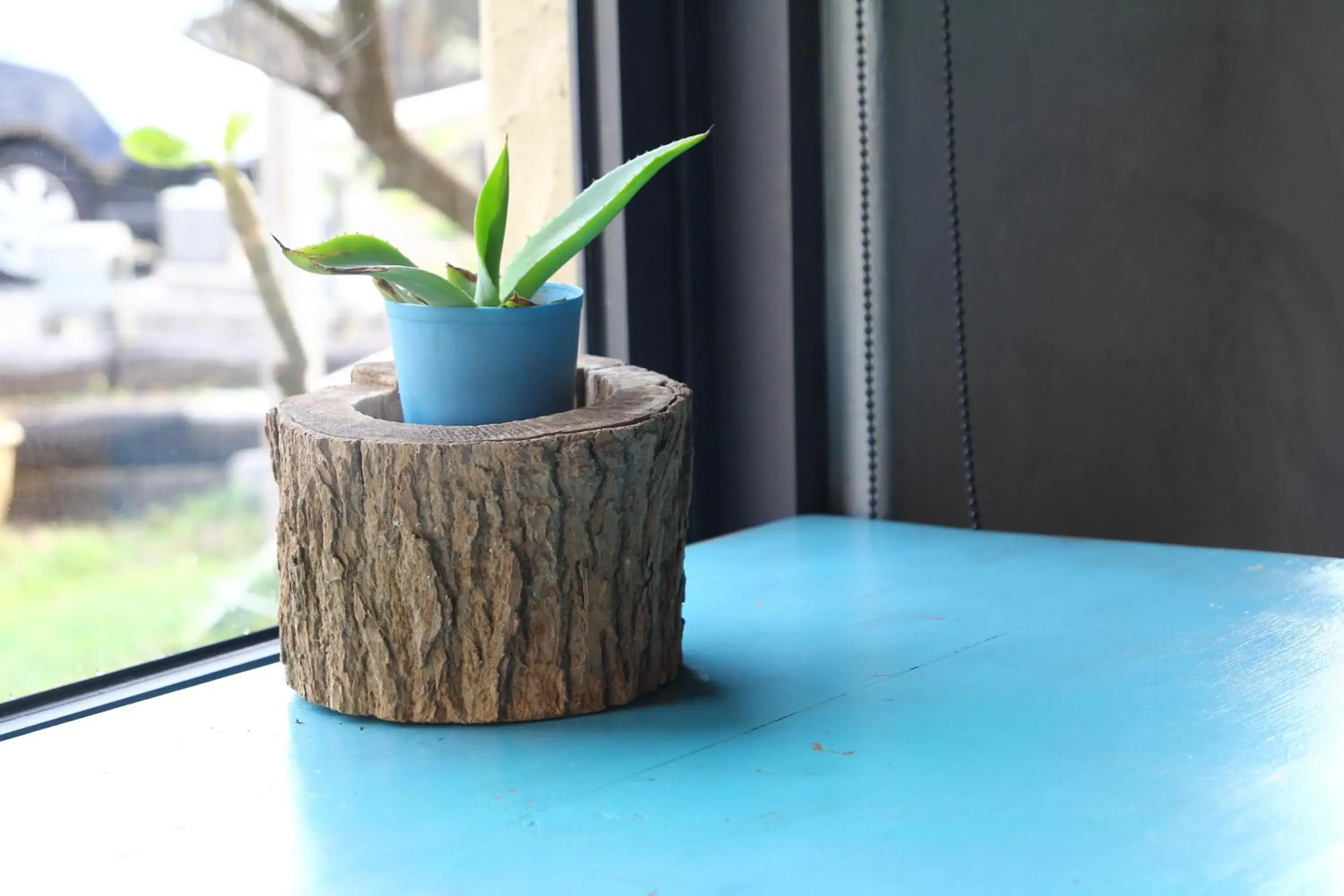 Restaurant/places to eat in West Old House Restaurant/places to eat in West Old House