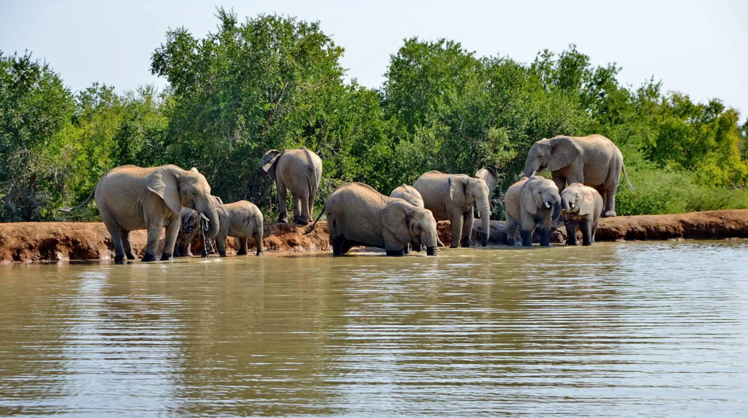 View (from property/room) in Black Rhino Game Lodge View (from property/room) in Black Rhino Game Lodge