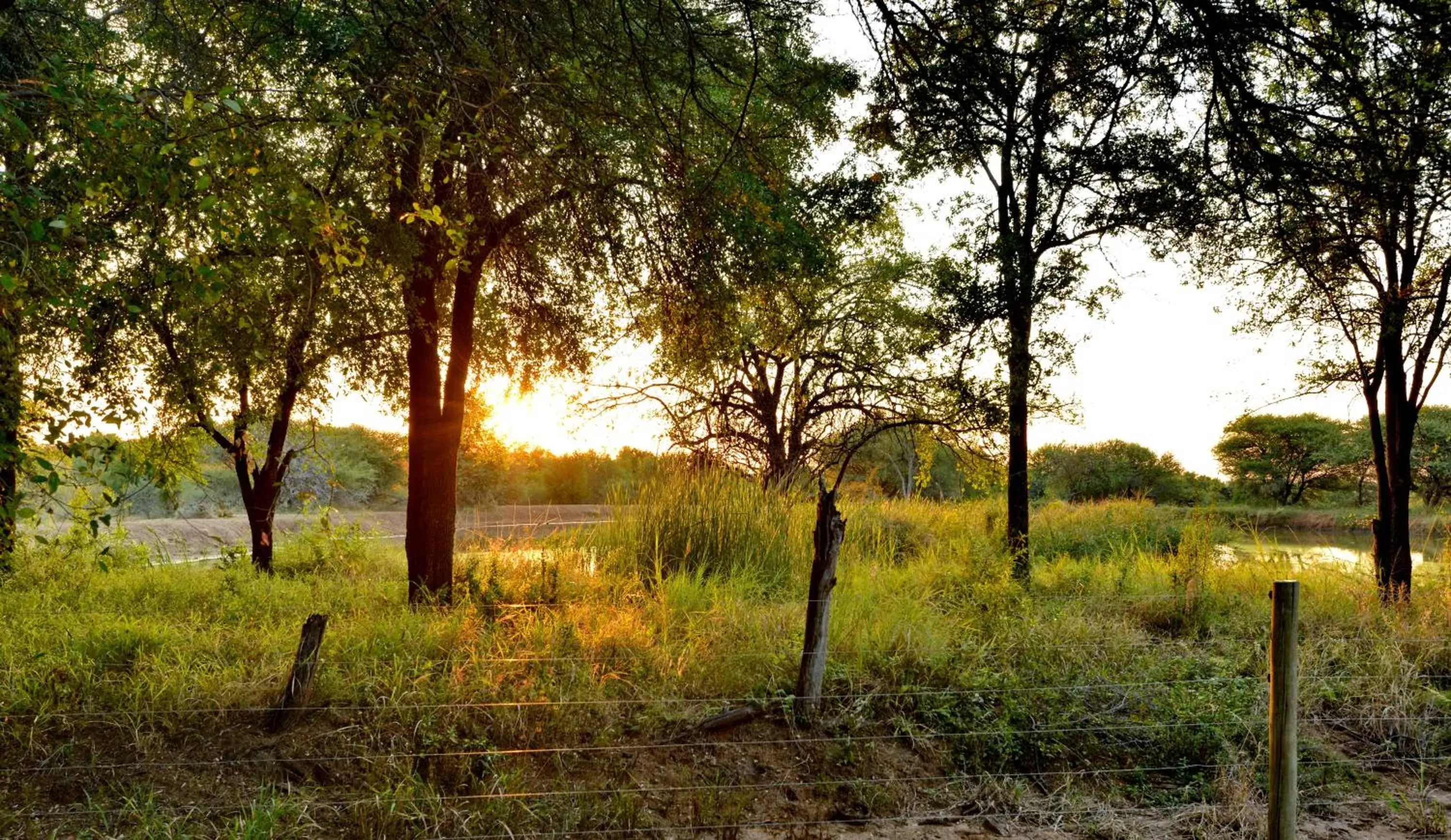 View (from property/room) in Black Rhino Game Lodge View (from property/room) in Black Rhino Game Lodge
