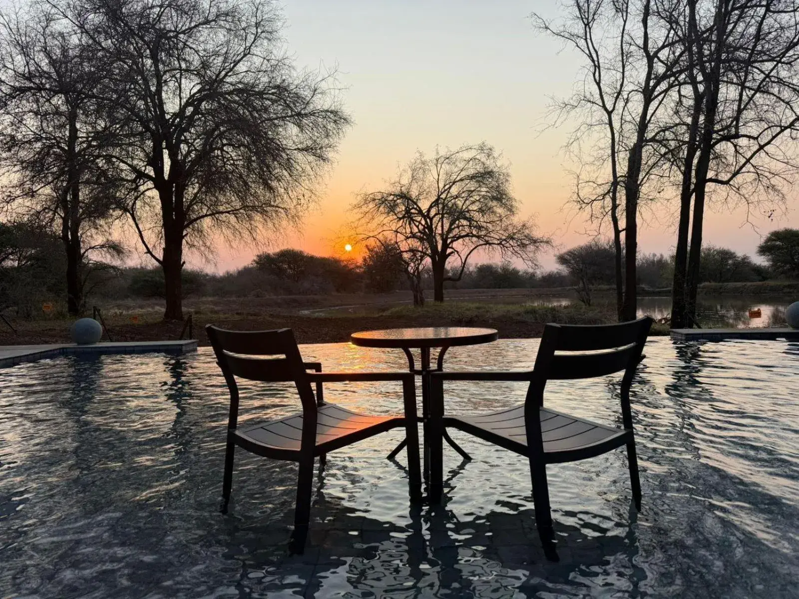 Swimming pool in Black Rhino Game Lodge Swimming pool in Black Rhino Game Lodge