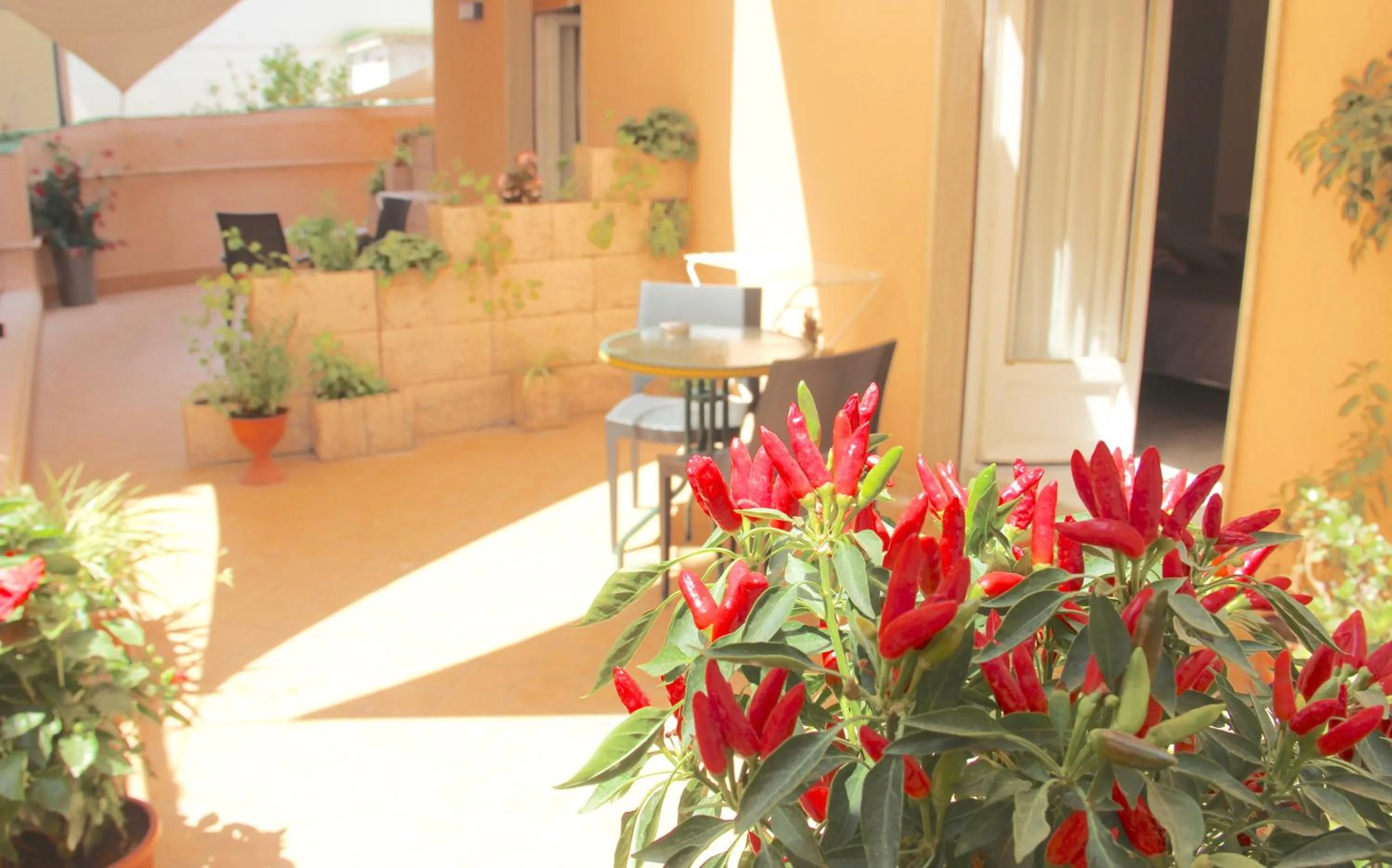 Balcony/Terrace in Be Inn