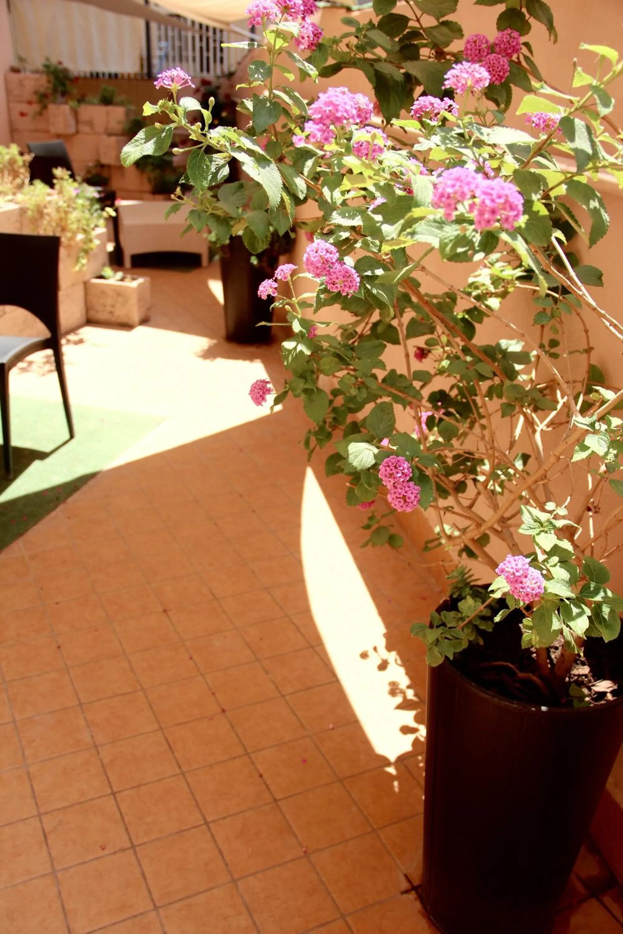 Balcony/Terrace in Be Inn