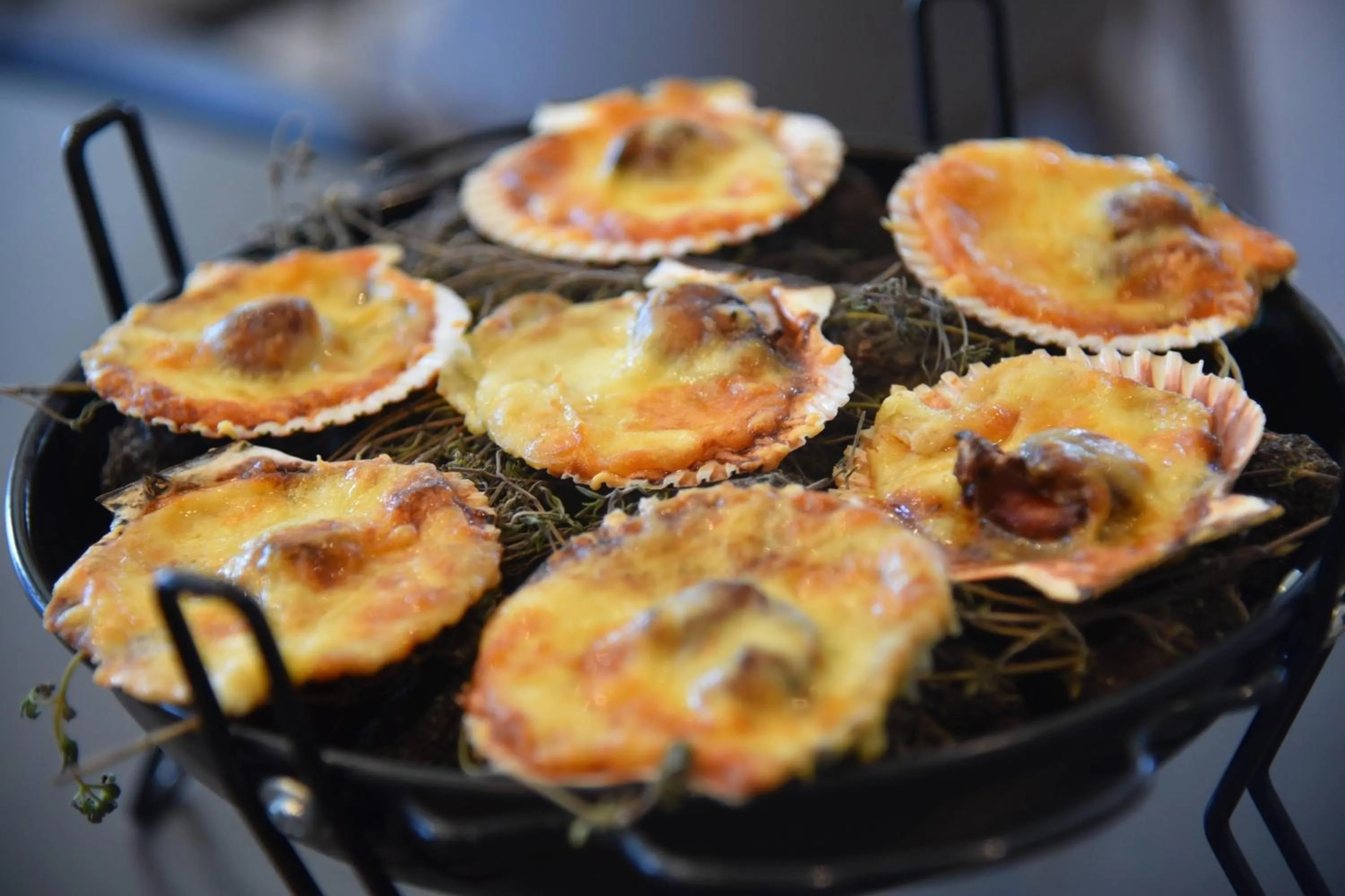 Restaurant/places to eat in Courtyard by Marriott Santiago Las Condes