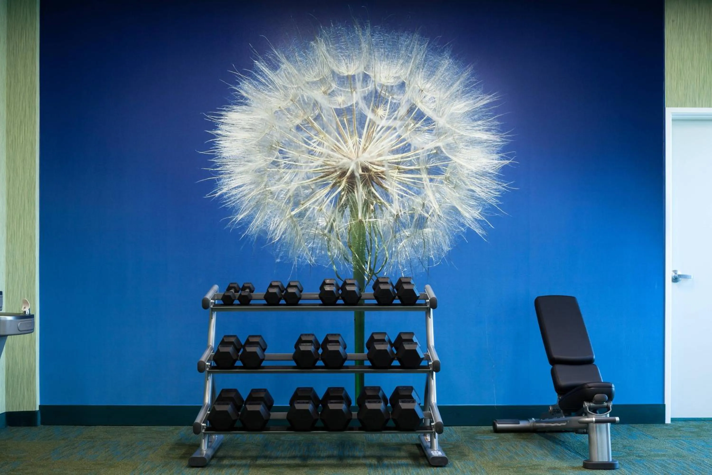 Fitness centre/facilities in SpringHill Suites by Marriott Kennewick Tri-Cities