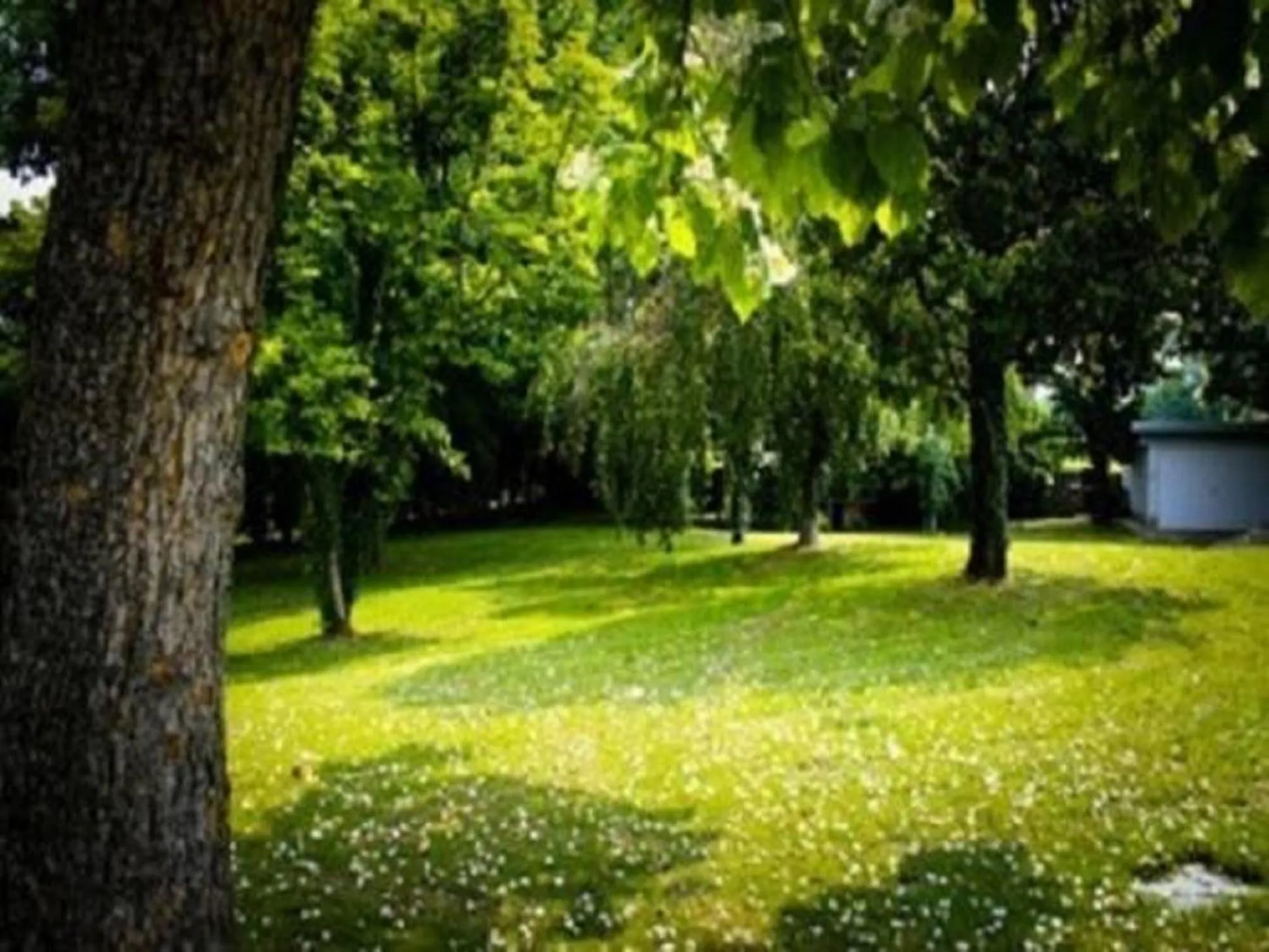 Garden in Villa Magnolie