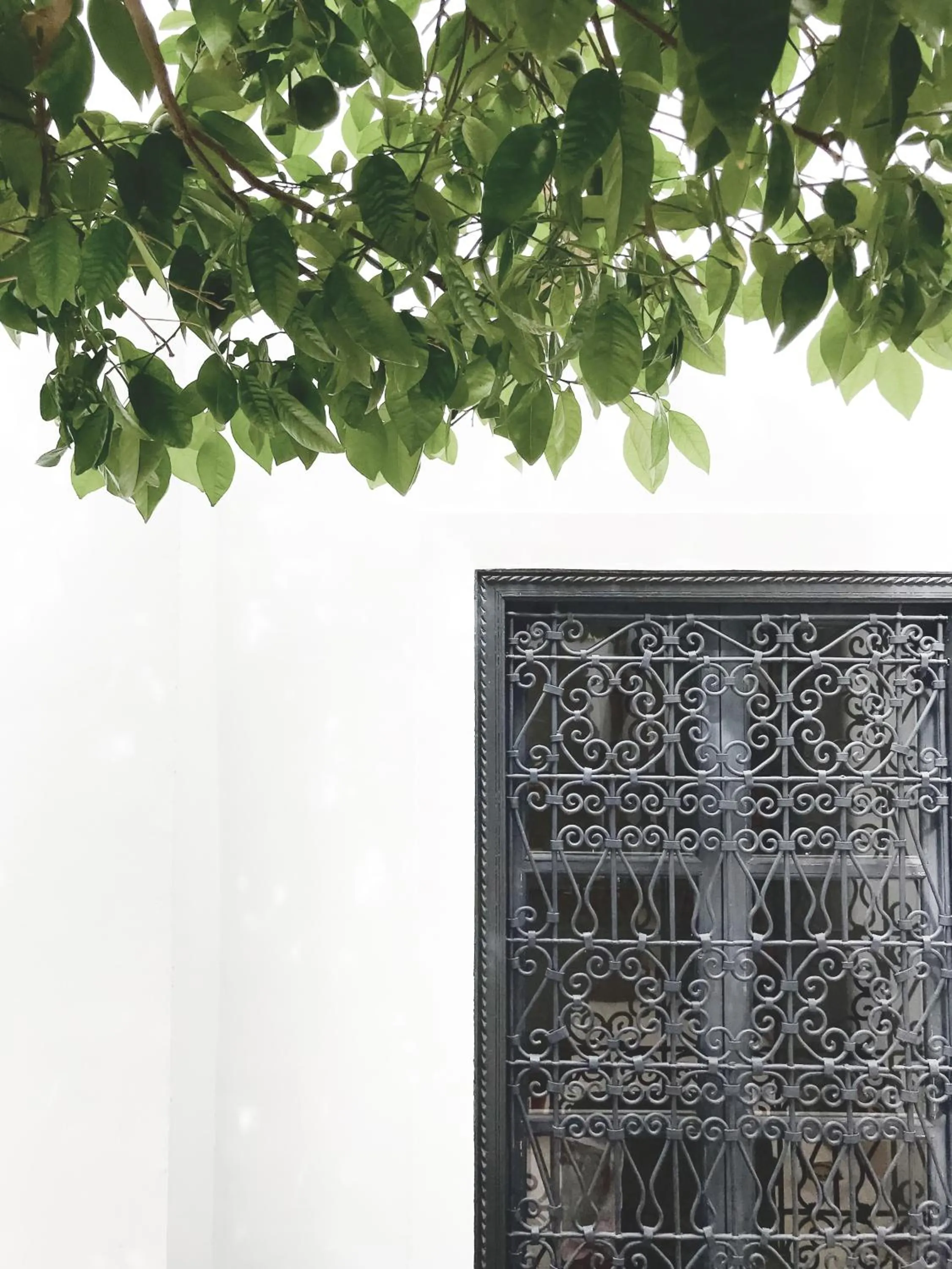 Decorative detail in Riad Dar-K