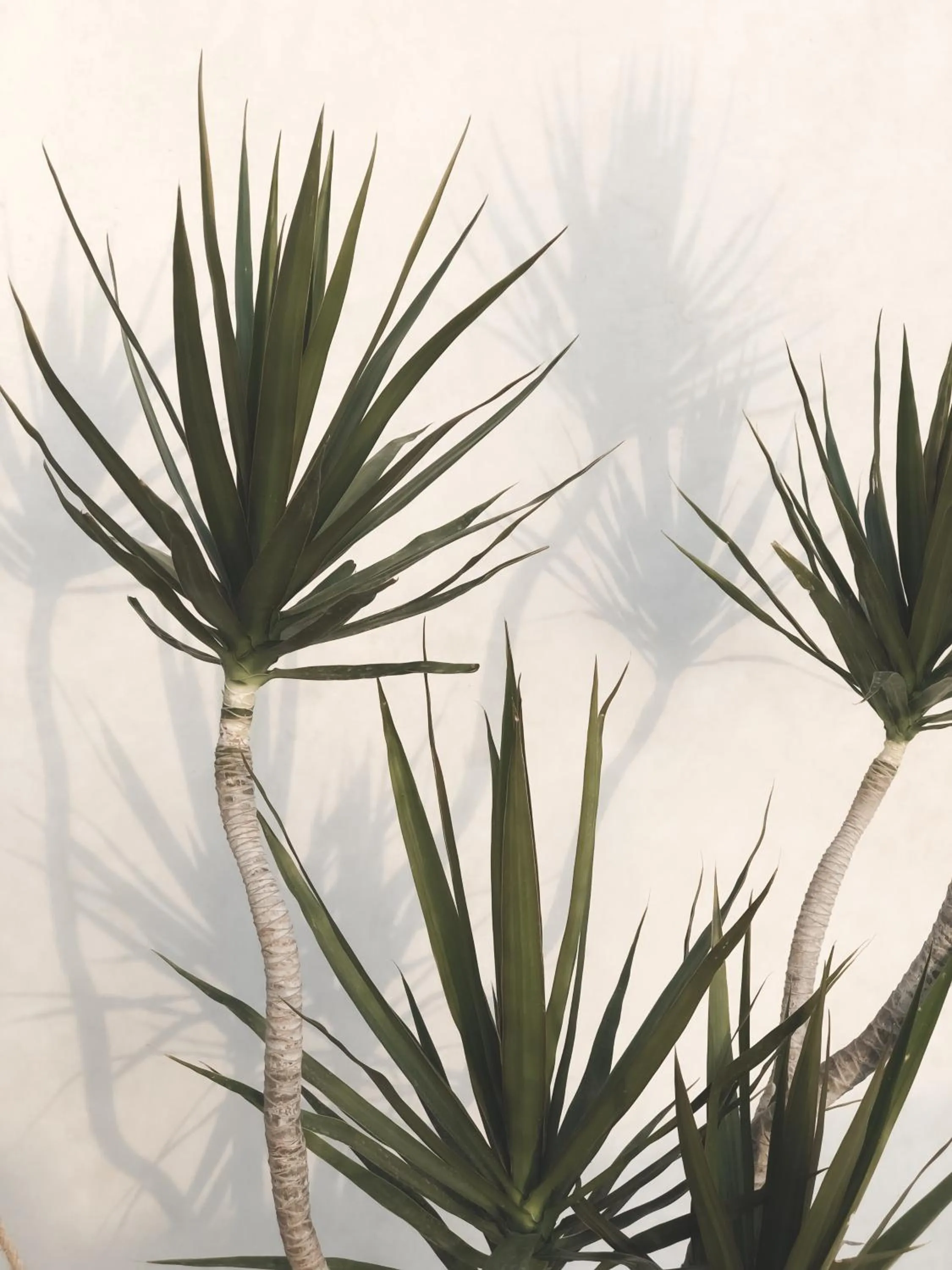 Decorative detail in Riad Dar-K