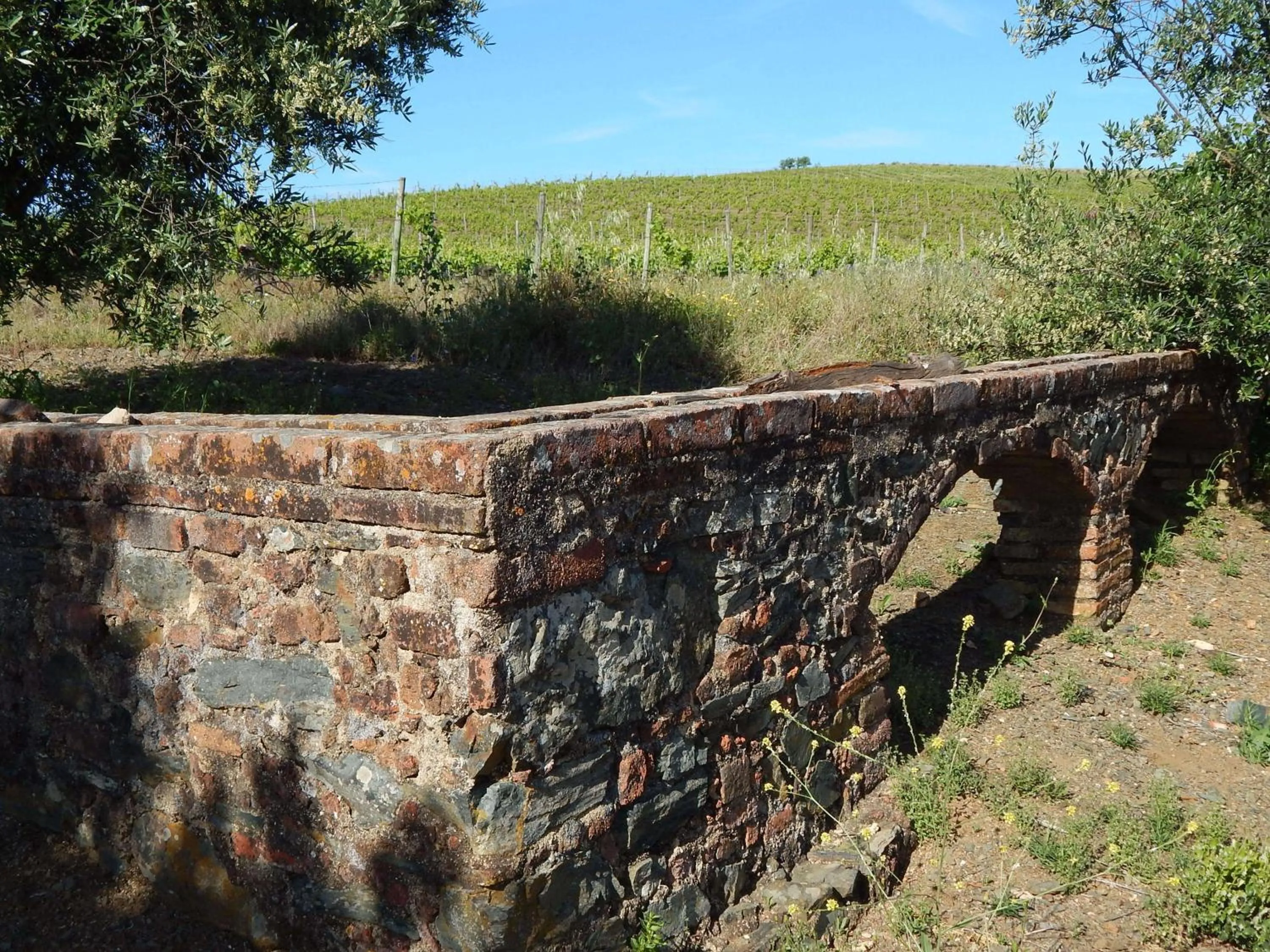 Decorative detail in Quinta das Ratoeiras
