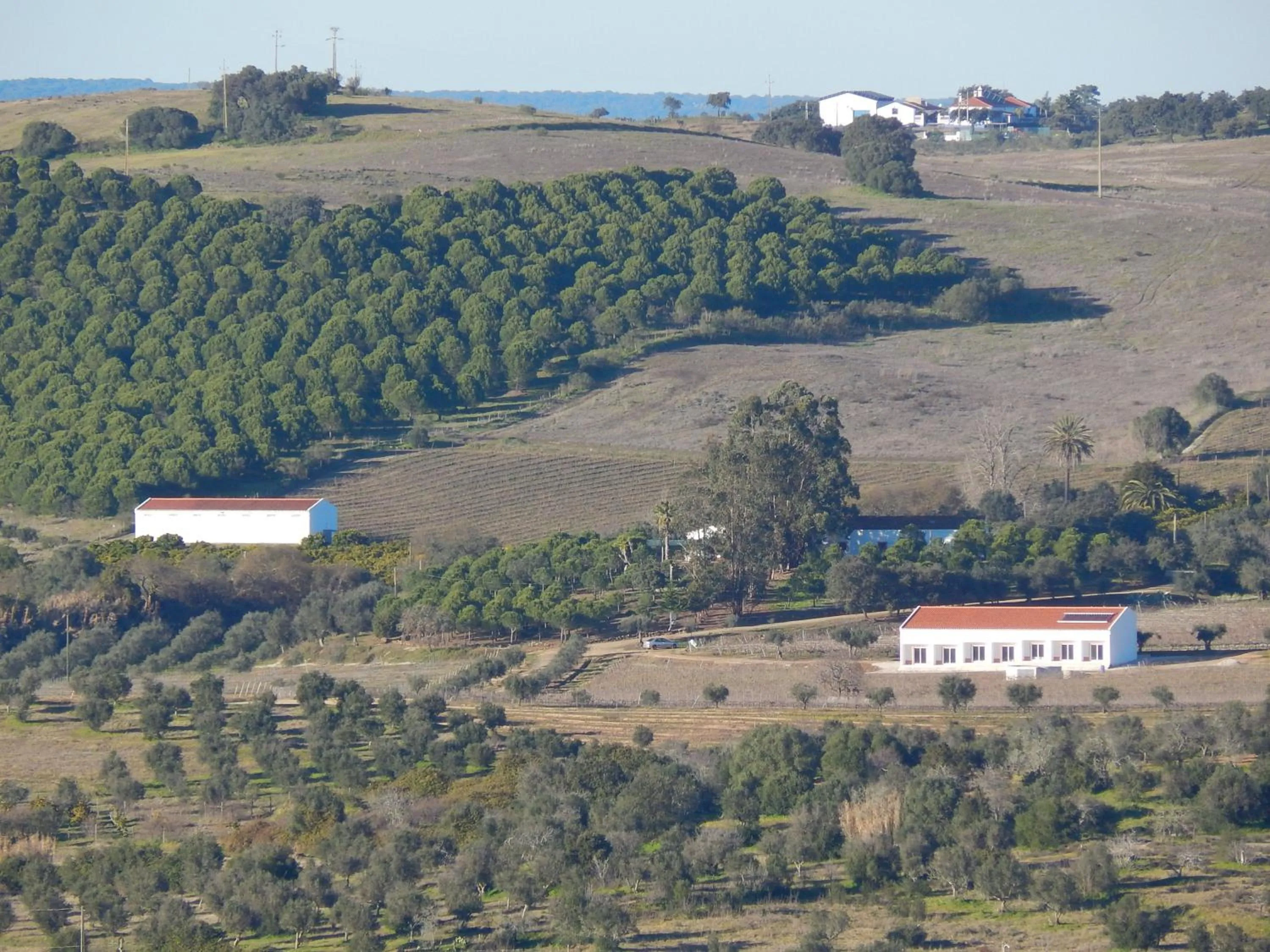 Bird's eye view in Quinta das Ratoeiras