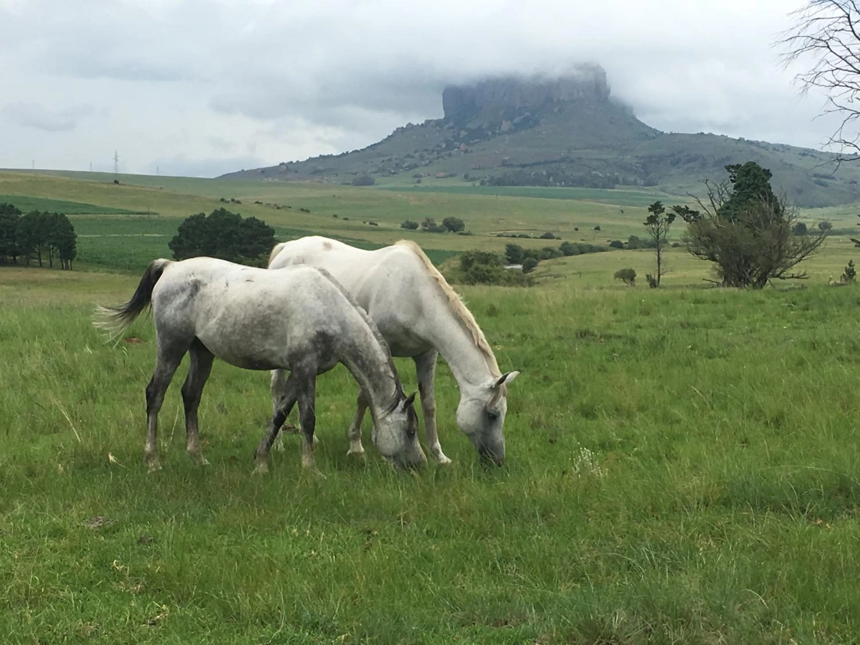 Natural landscape in Riverview Country Inn