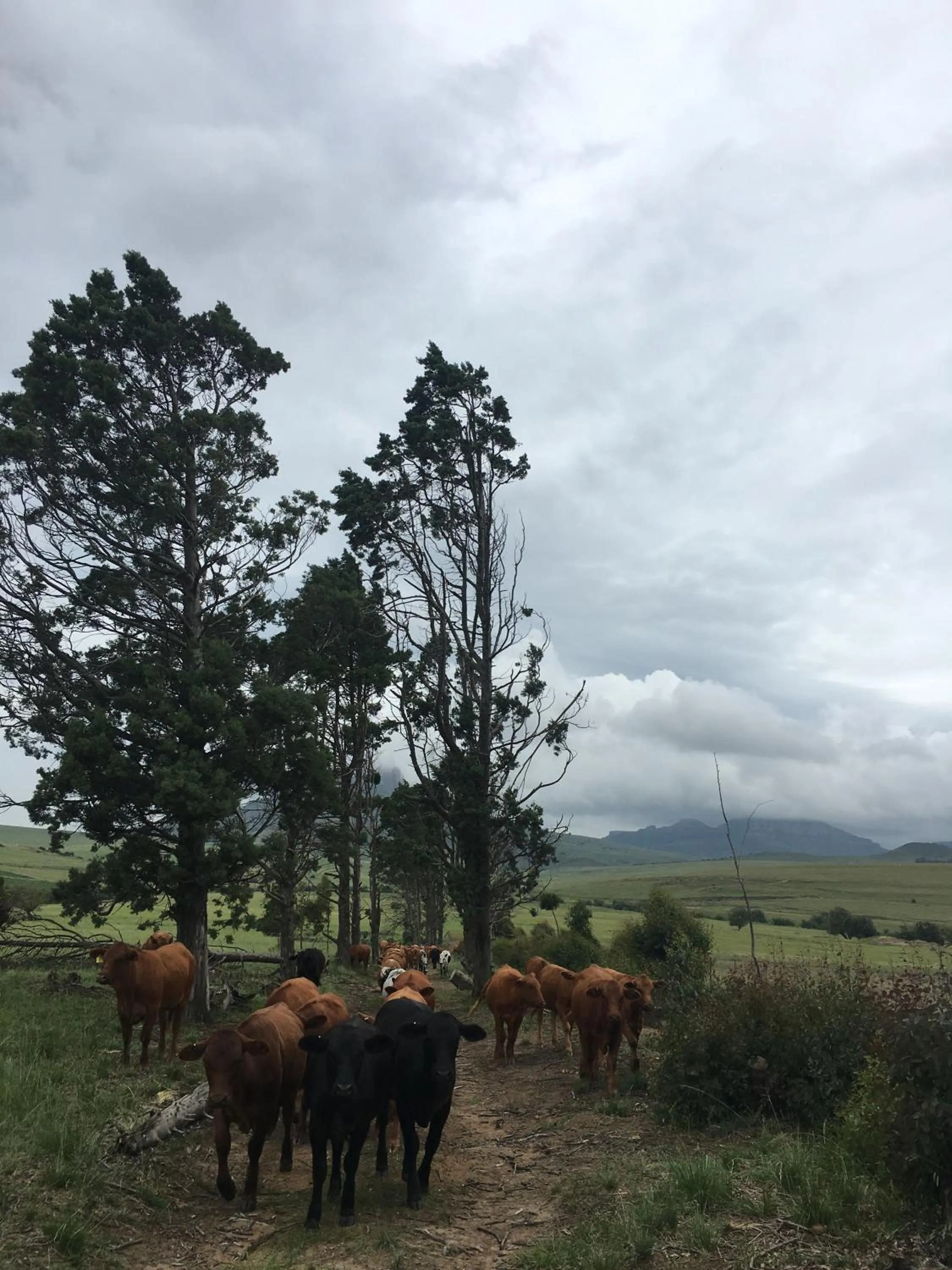 Natural landscape in Riverview Country Inn