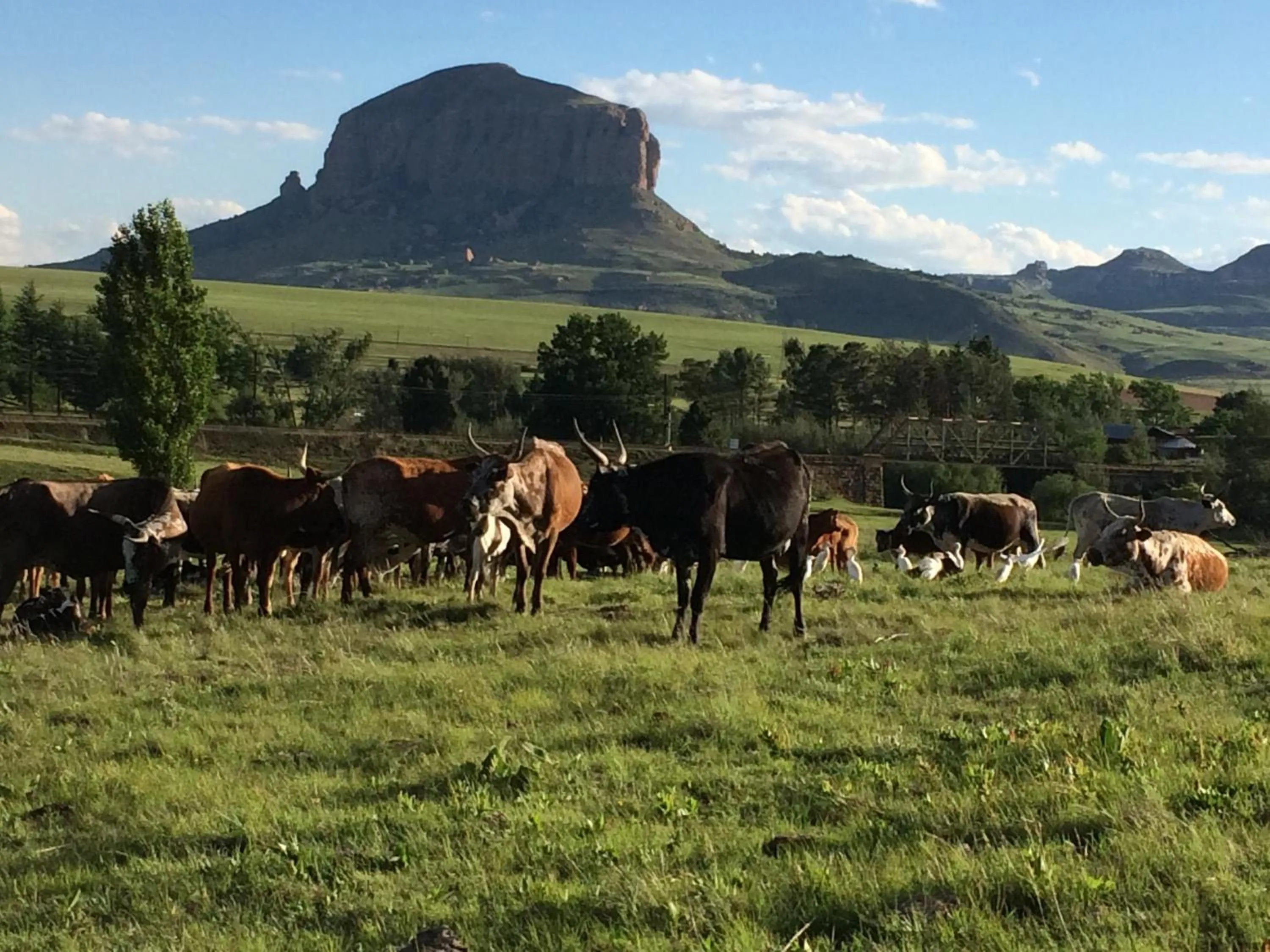 View (from property/room) in Riverview Country Inn