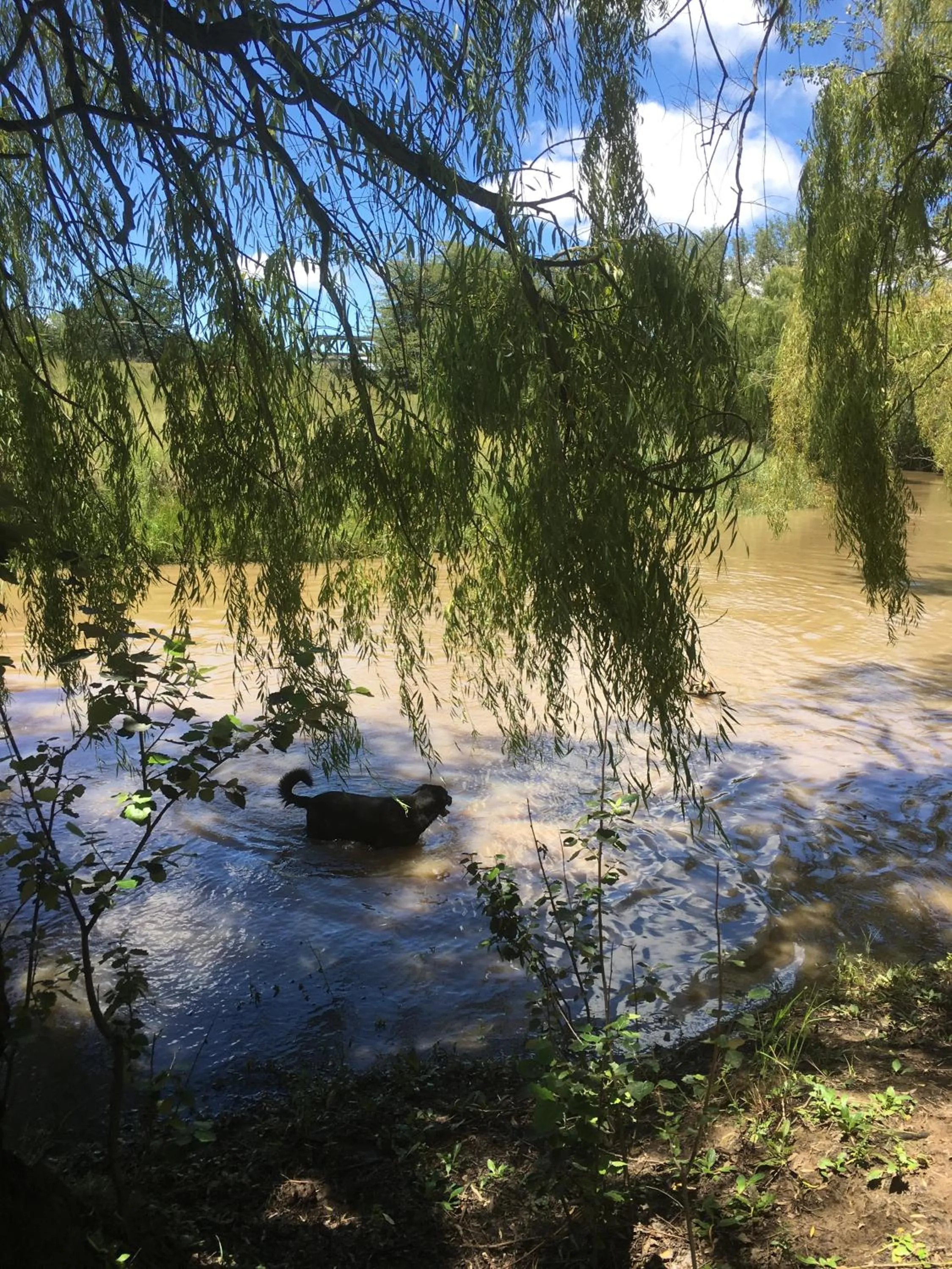 Riverview Country Inn