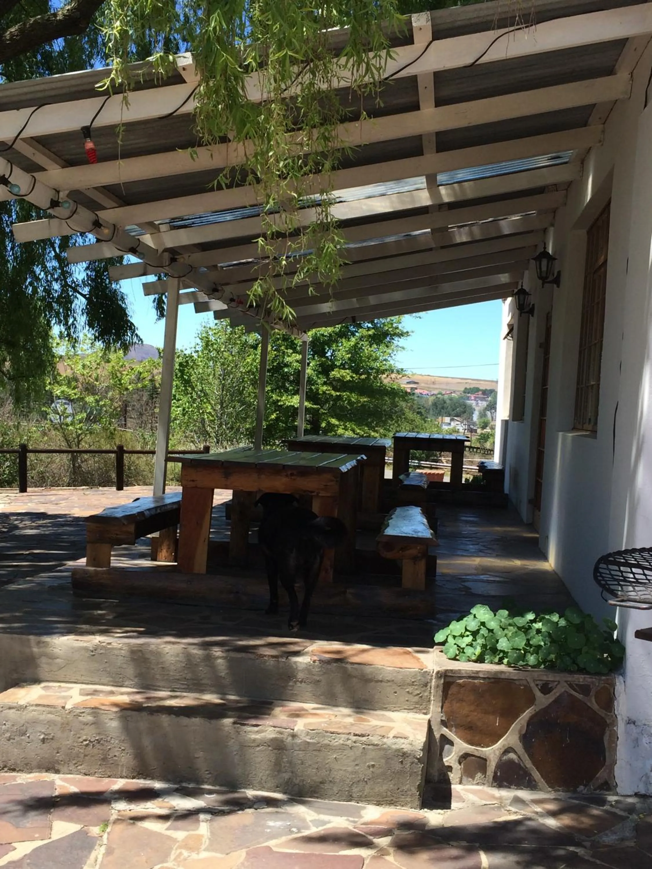 Pets in Riverview Country Inn