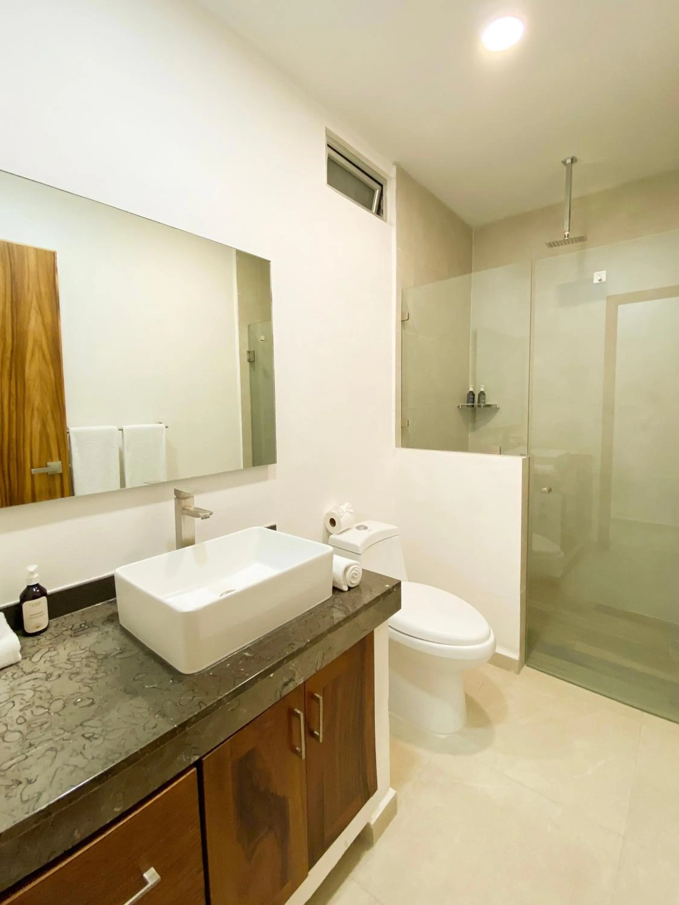 Shower in Itare Beach House