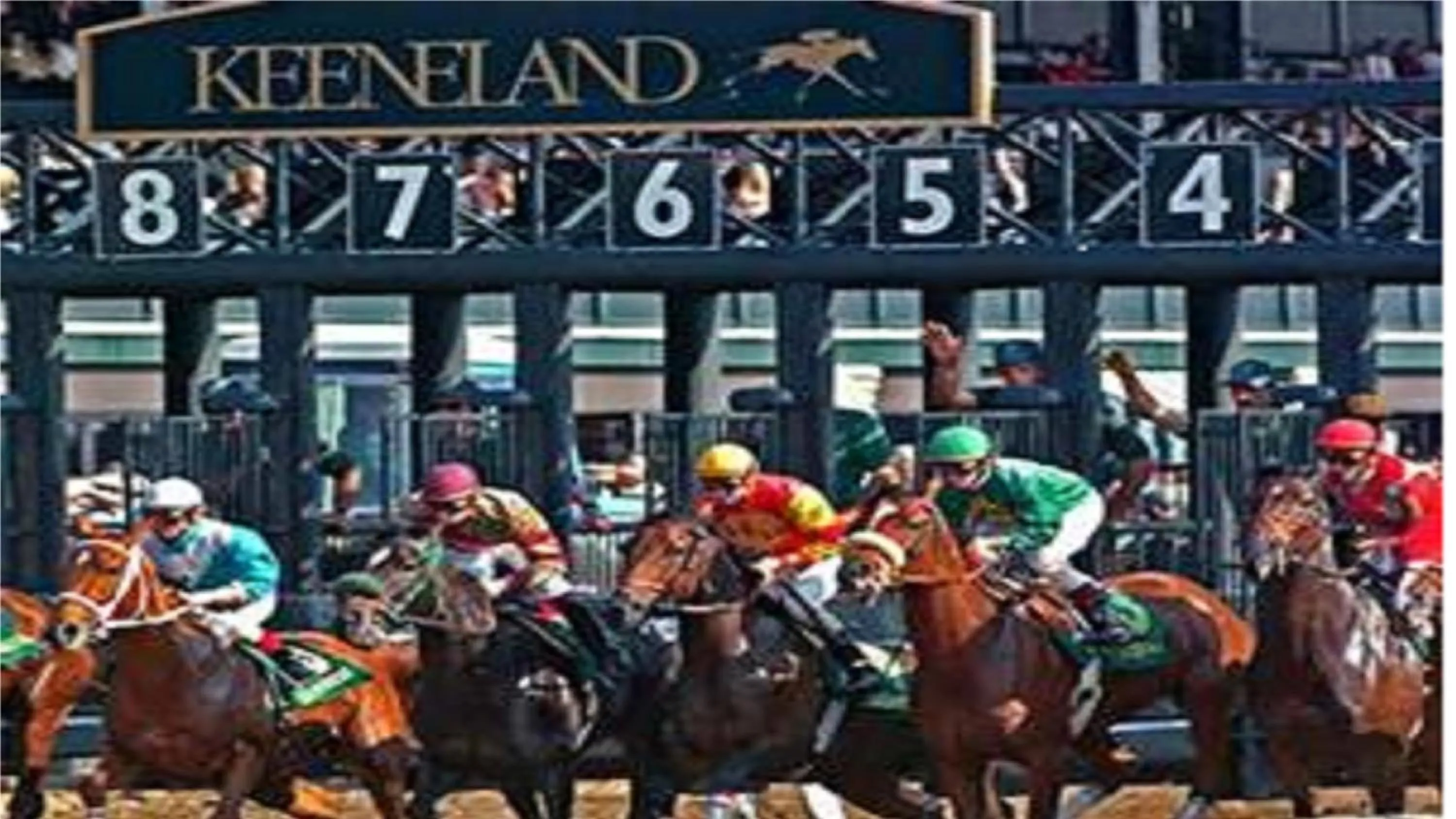 Horse-riding in Holiday Inn Express & Suites Lexington Midtown - I-75 by IHG