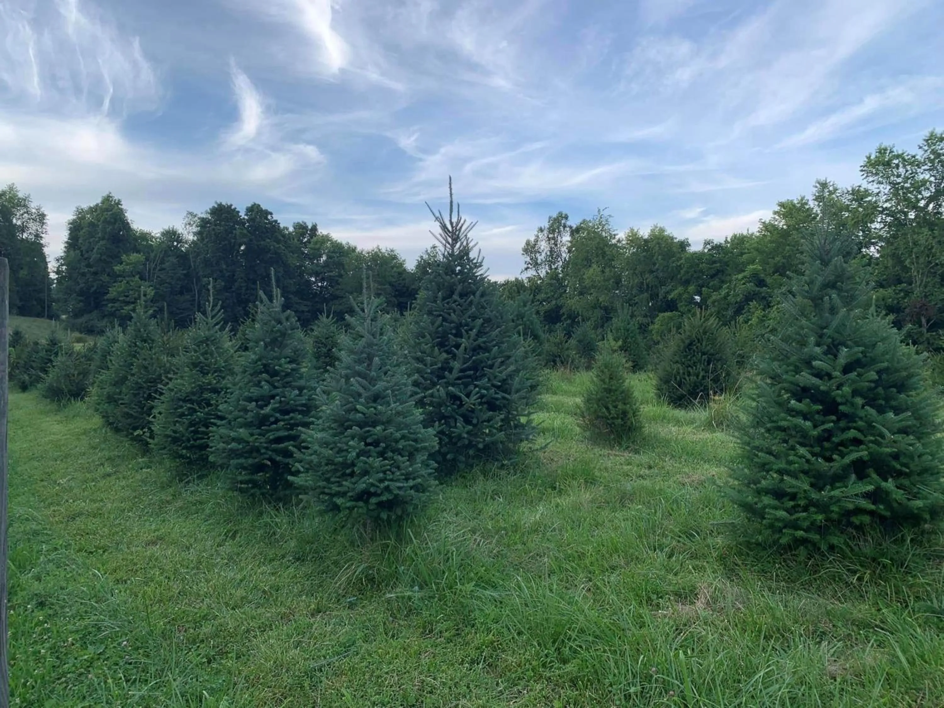 Nearby landmark in Holiday Inn Express & Suites New Martinsville by IHG