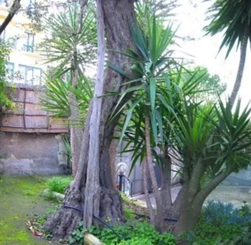 Villa Orchidea